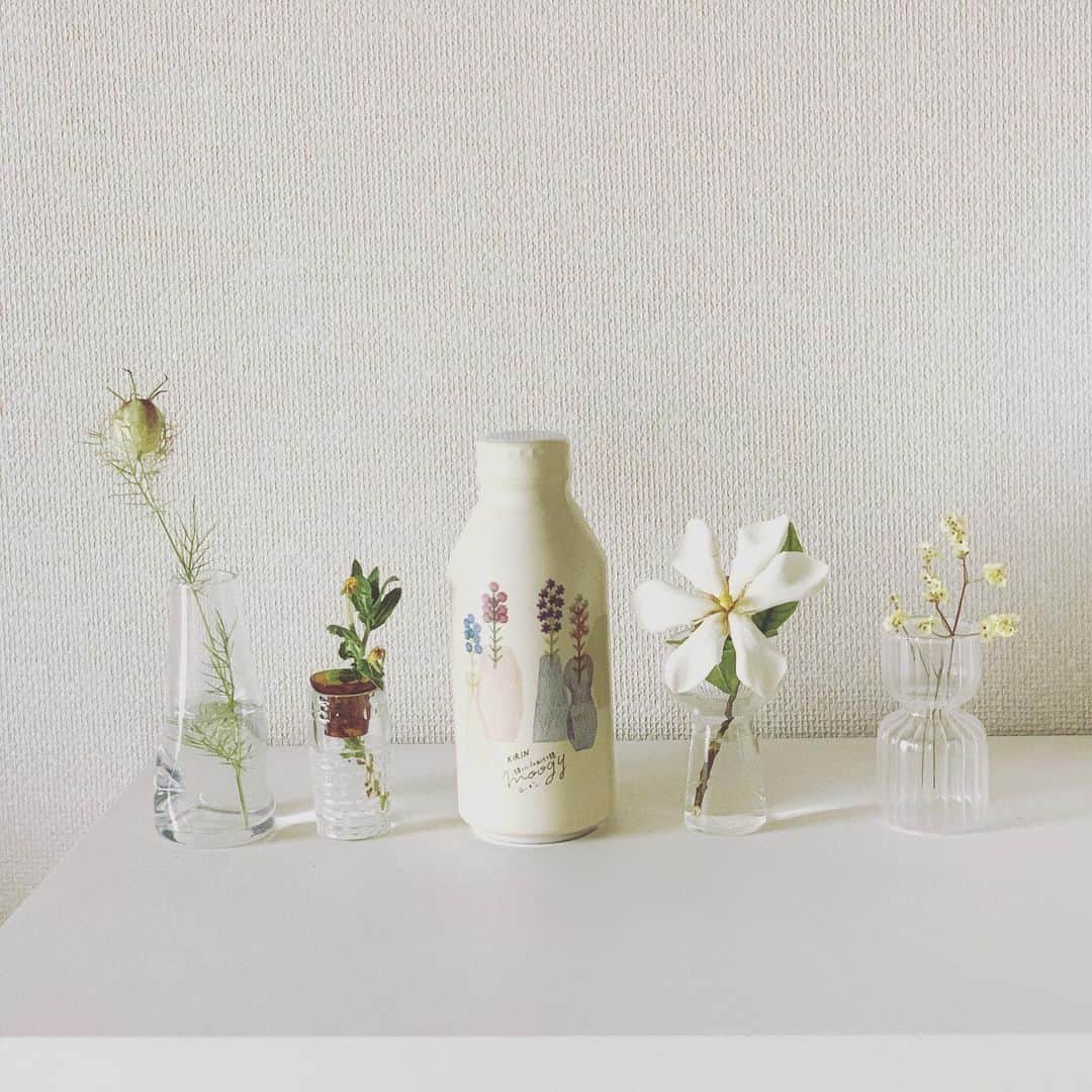 のインスタグラム：「* こんばんは * moogyチームは色々なものを集めがちなのですが、その中でも最近の私のお気に入りをご紹介♪  #集めるシリーズ で増えたのが、『小さい花瓶🌷』 * 大きい花瓶だと花の準備とか色々大変ですが、親指サイズ程の小さい花瓶なら、場所もとらないし、立派な花の代わりに庭のちょっとした草花でもOK！ 気軽に可愛く飾れておすすめなのです🤓 * ちなみに最近のお気に入りは、左から2番目の花瓶♩ ガラス作家さんのもので、よく見ると２つのパーツからできているんですよ〜 * #おだやかな休日 柄と花瓶たちを並べるとこれまたいい感じ〜 並んだ姿を眺めて、ついにやけちゃいます😙 * (てら） #moogy #ムーギー #キリンビバレッジ #麦茶 #ドリンク #プチギフト #gift #プレゼント #lifestyle #design #デザイン #秋　#autumn #ノンカフェイン #花瓶 #インテリア #花のある暮らし  #おうち時間 #おうち時間を楽しむ #心地よい暮らし  #ていねいな暮らし #暮らしを楽しむ」