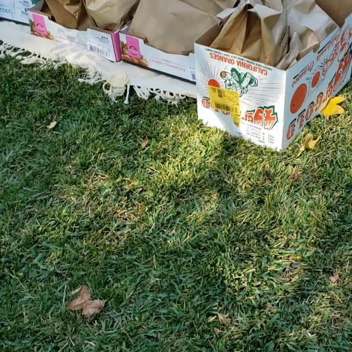 のインスタグラム：「Sunday homeless lunches, a BIG haul today as need increases.....***UPDATE. Over 6000 yesterday, a huge record.」