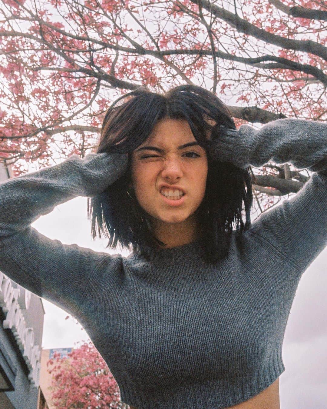 Bryant Eslavaのインスタグラム：「/ BIG DAY FOR @charlidamelio 🥳 🎉 • does anyone know what happened today?」