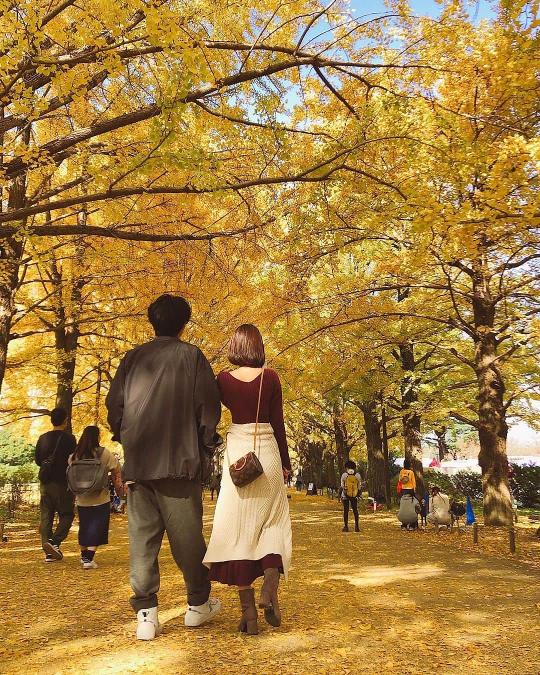 酒匂彩名のインスタグラム：「: 秋の日🍁 銀杏を楽しむなら来週までぐらいかなー？近所は今が黄色真っ盛りって感じです🙋‍♀️✨ そういや今日はいい夫婦の日じゃないですか。 色んな人の投稿を見て気づきました。 それなのに新婚の友達を半日も拘束してました。 相手の旦那さんごめんね(笑) 私は甘いもの買ってきてくれたら嬉しいです。 今晩はちゃんと夕飯作ります。(業務連絡？笑) : : #いい夫婦の日　#秋　#業務連絡　 #銀杏　#紅葉　#日本の秋　#世界がカラフルです　#秋晴れ　#お散歩日和　#夫婦　#家族　#お散歩」