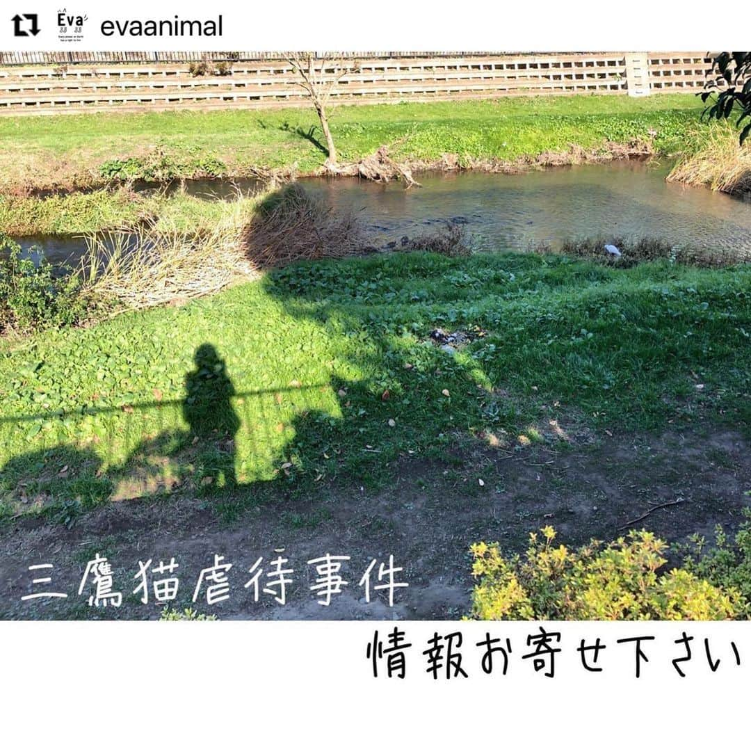 杉本彩のインスタグラム