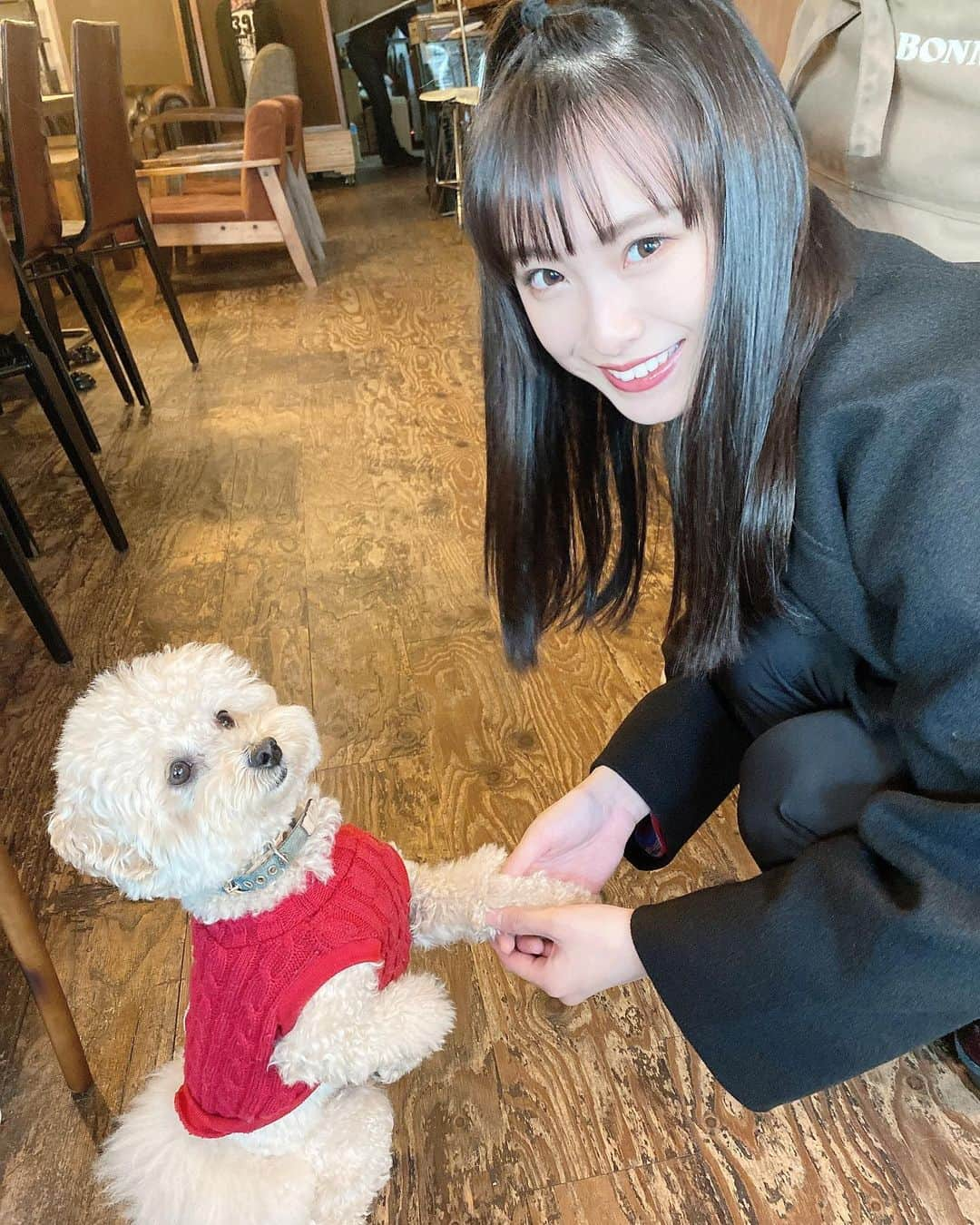 梅山恋和さんのインスタグラム写真 - (梅山恋和Instagram)「🐶  わんちゃん♡  可愛すぎて胸が苦しい…  とても癒されました🤍  #トイプードル#わんちゃん #きゅんです#おもち映え」11月22日 20時22分 - cocona_umeyama