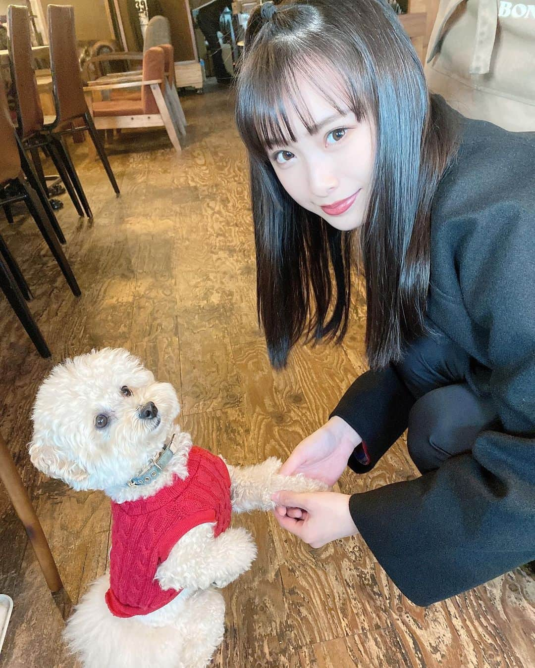 梅山恋和さんのインスタグラム写真 - (梅山恋和Instagram)「🐶  わんちゃん♡  可愛すぎて胸が苦しい…  とても癒されました🤍  #トイプードル#わんちゃん #きゅんです#おもち映え」11月22日 20時22分 - cocona_umeyama