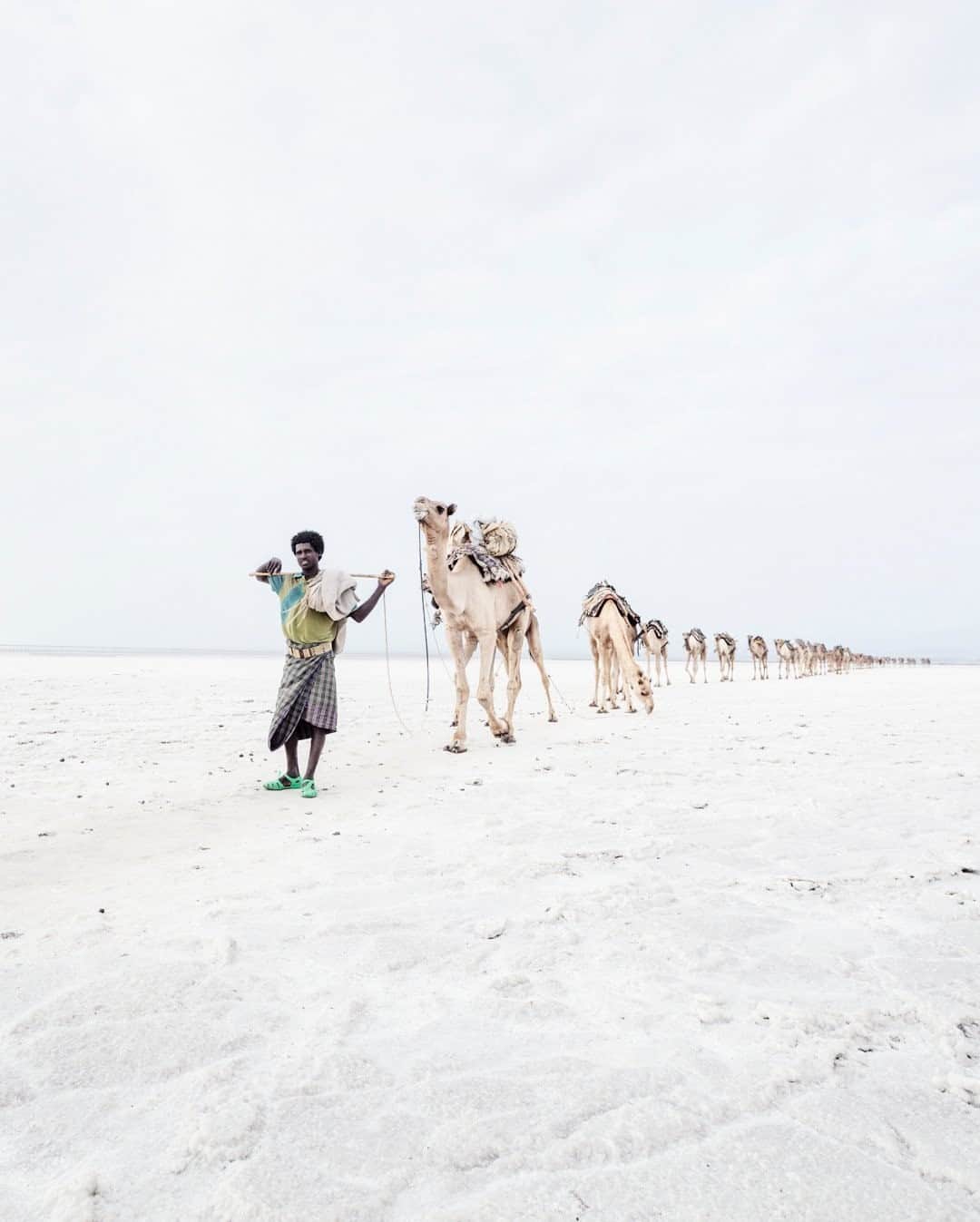 National Geographic Travelさんのインスタグラム写真 - (National Geographic TravelInstagram)「Photo by @andrea_frazzetta / An Afar nomad travels with a caravan of dromedaries. The Danakil Depression is located in the northern part of Ethiopia in the Afar Triangle, which takes its name from the nomadic people who live there. The area has evaporite rocks that give rise to a desert that stretches for about 600 kilometers (373 miles). To see more photos from my travels, follow me @andrea_frazzetta. #Africa #Ethiopia #Danakil」11月22日 20時39分 - natgeotravel