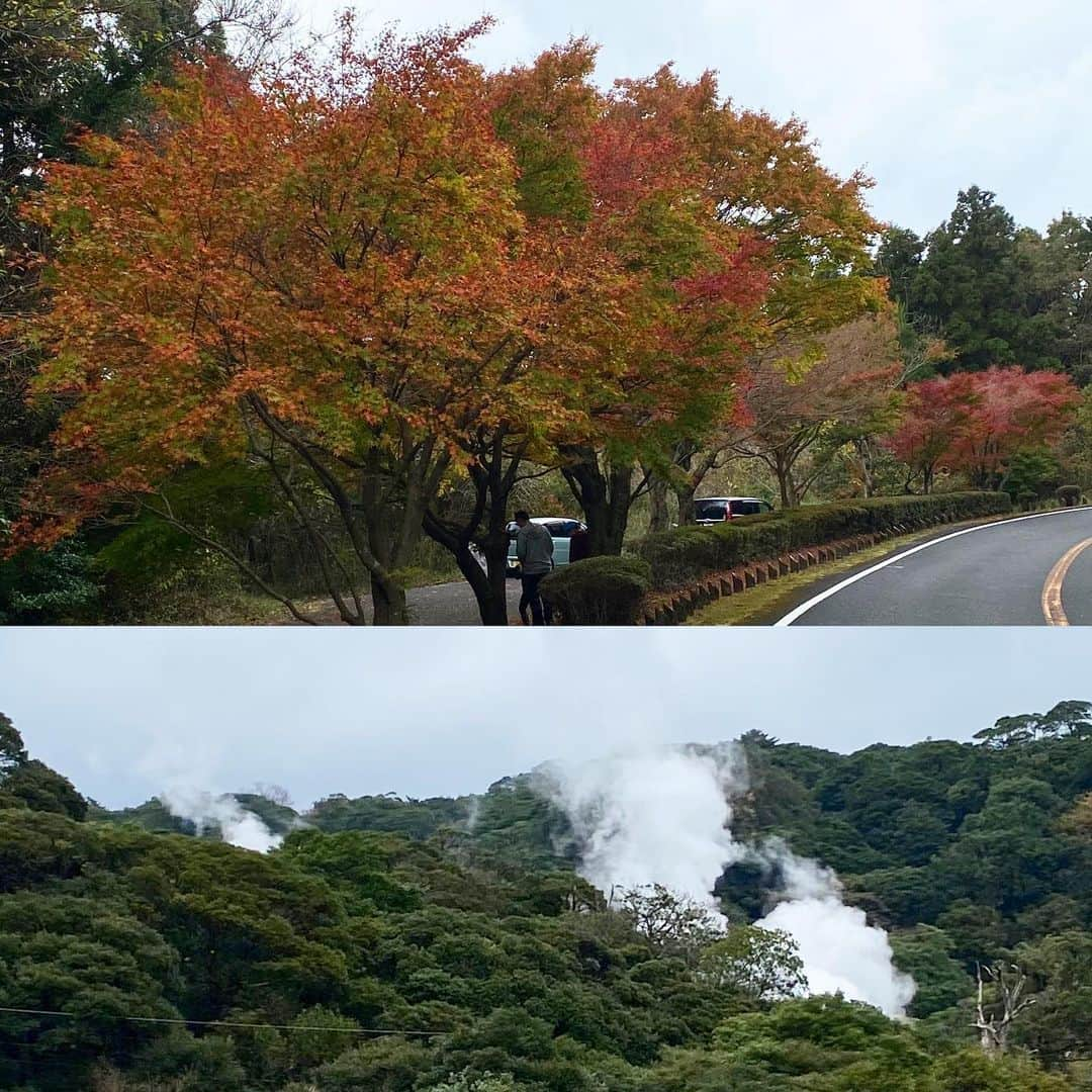 川島恵のインスタグラム