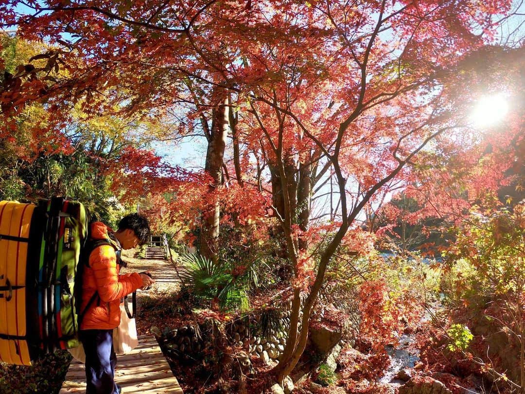 石松大晟のインスタグラム：「・﻿ 昨日の御岳は﻿ 紅葉がとても綺麗だった🍁﻿ 岩も景色も全て楽しむ😎﻿ ﻿ #climbing #bouldering #photo #canon #gopro #クライミング #カメラ #ゴープロ #紅葉 #御岳」