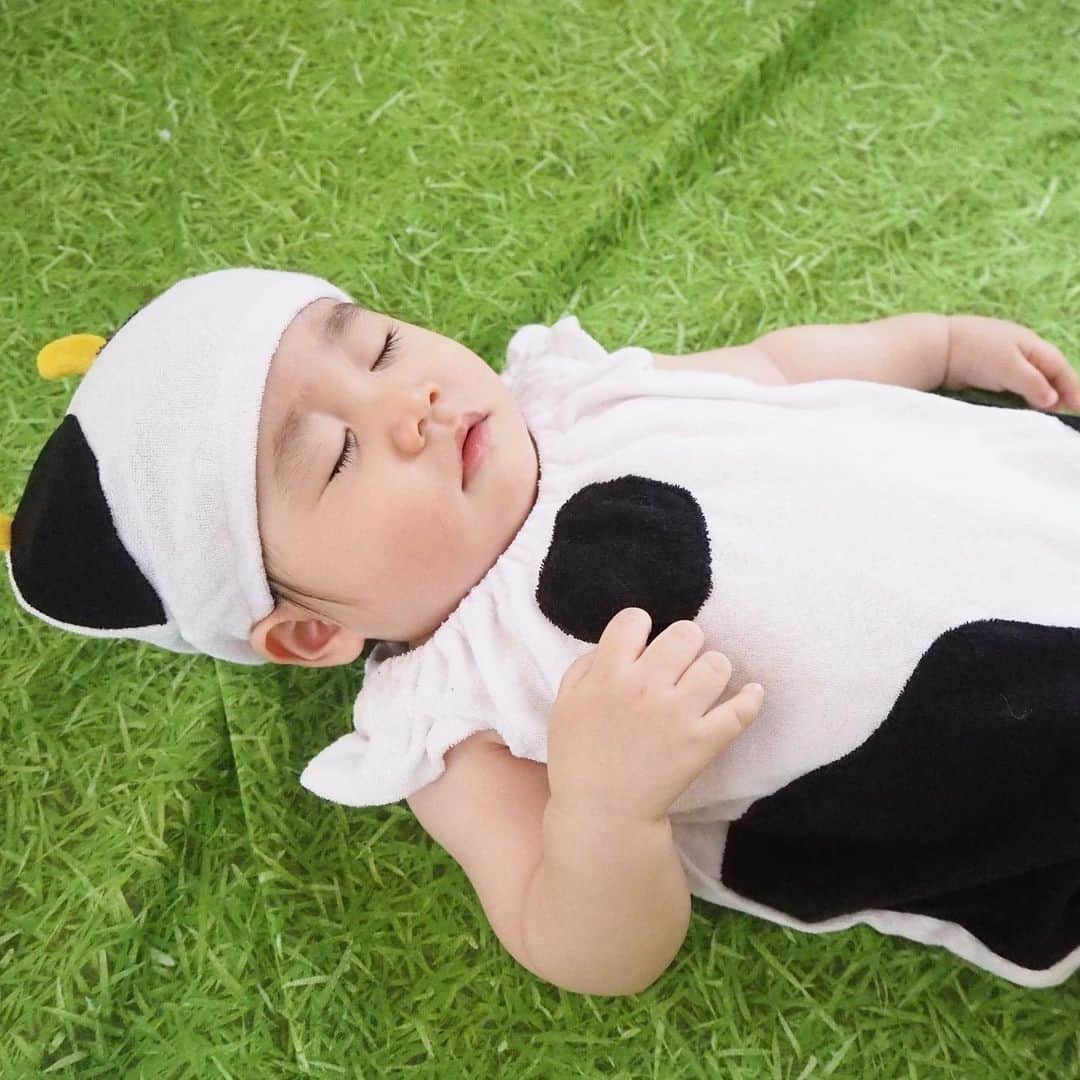 ままのてさんのインスタグラム写真 ままのてinstagram 牛さんがねんね ままのて 牛さんのコスプレをしてスヤスヤお昼寝しています 似合ってますね かわいいです 生後11ヶ月 牛さん Ayakooshita 様の