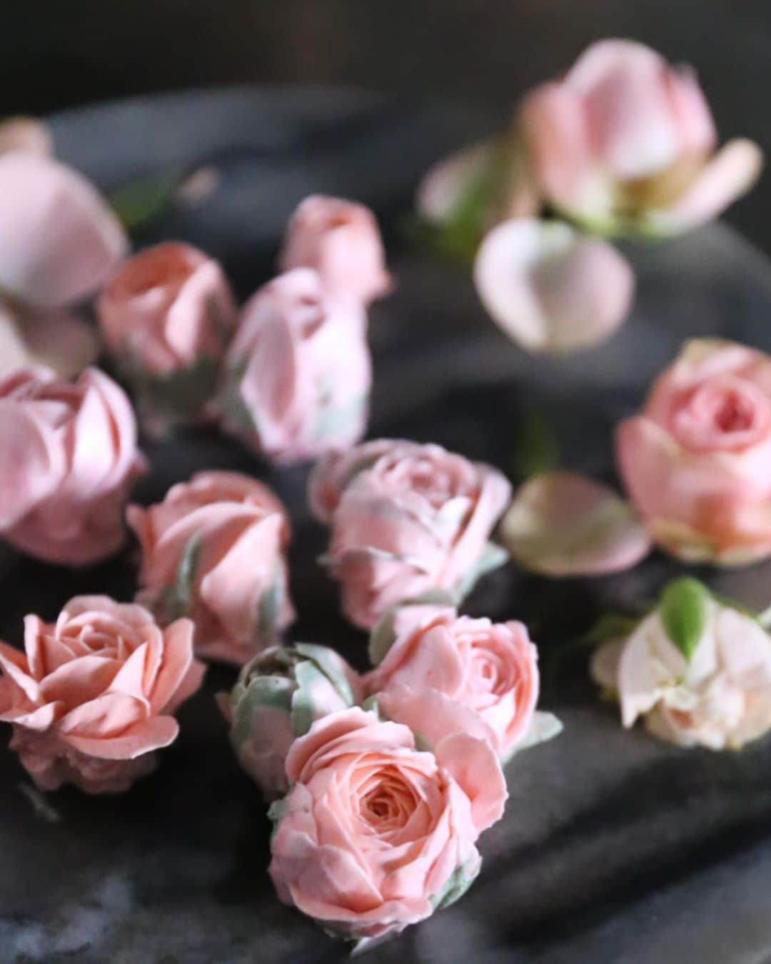 청담 수케이크 (atelier soo)さんのインスタグラム写真 - (청담 수케이크 (atelier soo)Instagram)「ㅡ Buttercream flower.Rose.  ㅡ #flower #cake #flowercake #partycake #birthday #bouquet #buttercream #baking #wilton #weddingcake #rose  www.soocake.com vkscl_energy@naver.com」11月22日 21時19分 - soocake_ully