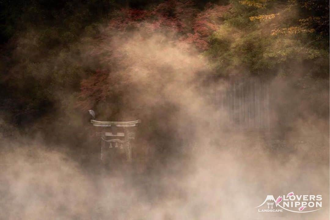 Only Japanese photographsさんのインスタグラム写真 - (Only Japanese photographsInstagram)「🇯🇵Today's LoversNippon Selection🇯🇵 . Artist｜@manasuki Selected｜@rphafoto . Follow : @lovers_nippon Tag : #lovers_nippon ＿＿＿＿＿＿＿＿＿＿＿＿＿＿＿＿＿＿＿＿ ￣￣￣￣￣￣￣￣￣￣￣￣￣￣￣￣￣￣￣￣ @manasuki 様おめでとうございます✨👏鳥居×毛嵐のなかにひっそりと鷺や紅葉まで入ってとても贅沢な１枚ですね⛩今後ともLoversNipponを宜しくお願い致します♫✨ ＿＿＿＿＿＿＿＿＿＿＿＿＿＿＿＿＿＿＿＿ ￣￣￣￣￣￣￣￣￣￣￣￣￣￣￣￣￣￣￣￣ #日本 #大分 #風景 #写真 #霧 #毛嵐 #秋 #紅葉 #鳥居 #鷺 #金鱗湖 #fog #autumn #photo #landscape #Oita #Japan」11月22日 21時18分 - lovers_nippon