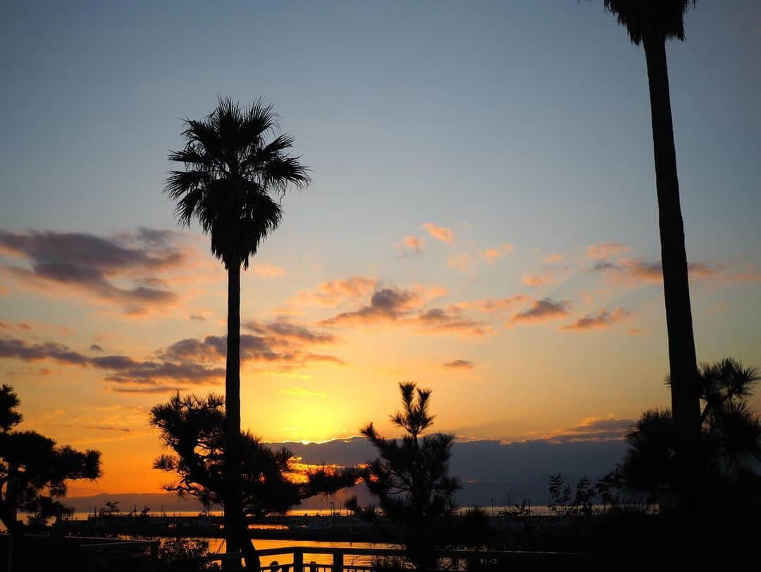 今井安紀のインスタグラム：「A sunset view from Bentembashi bridge in Enoshima. (No.1-3) I found a bicolor cat; like a cow print. (No.4)  江ノ島の夕焼け。(No.1-3) ホルスタインな猫いた。(No.4)  Camera : No.1-4 Olympus PEN E-PL9  #olympuspenepl9 #noedit #nofilter #photolover #latergram #enoshima #sunset #vanillasky #catstagram  #オリンパスPEN #加工なし #撮って出し #写真好きな人と繋がりたい #時差スタグラム #江ノ島 #夕焼け #サンセット #バニラスカイ #ねこすたぐらむ」