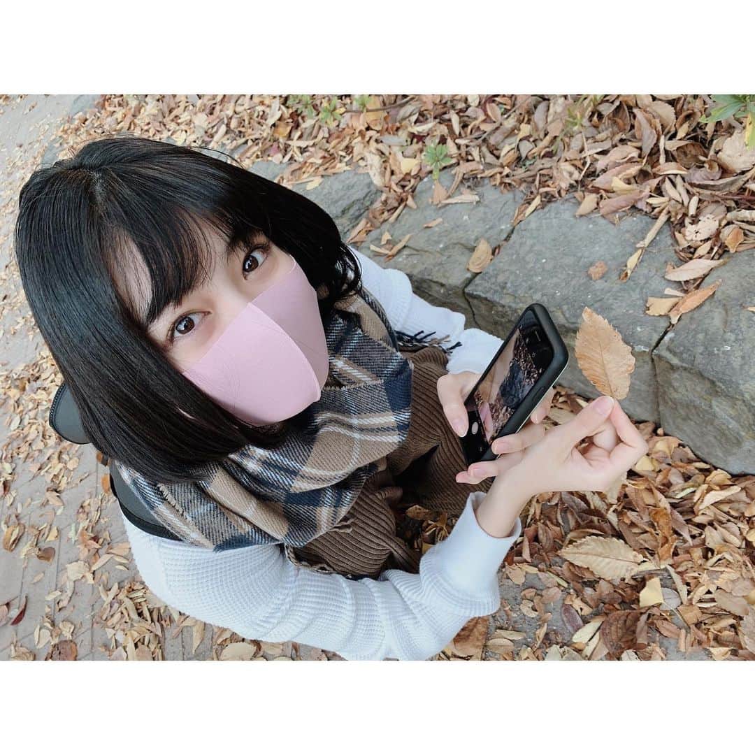吉田美月喜のインスタグラム：「. #落ち葉の絨毯 #落ち葉拾い」