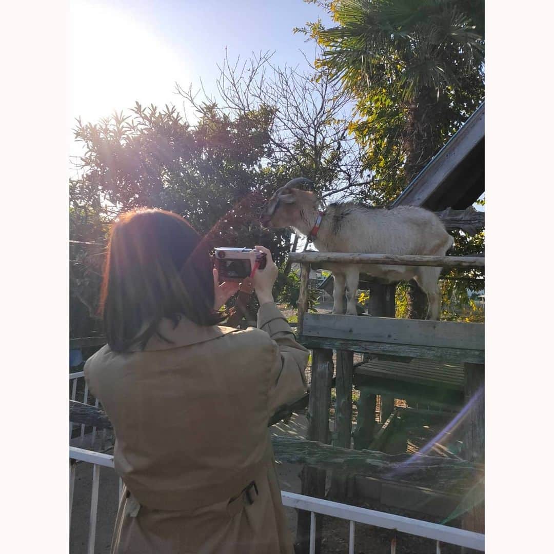 花澄さんのインスタグラム写真 - (花澄Instagram)「ビーエム乗って ブイブイ言わせたった。」11月22日 21時27分 - textisan
