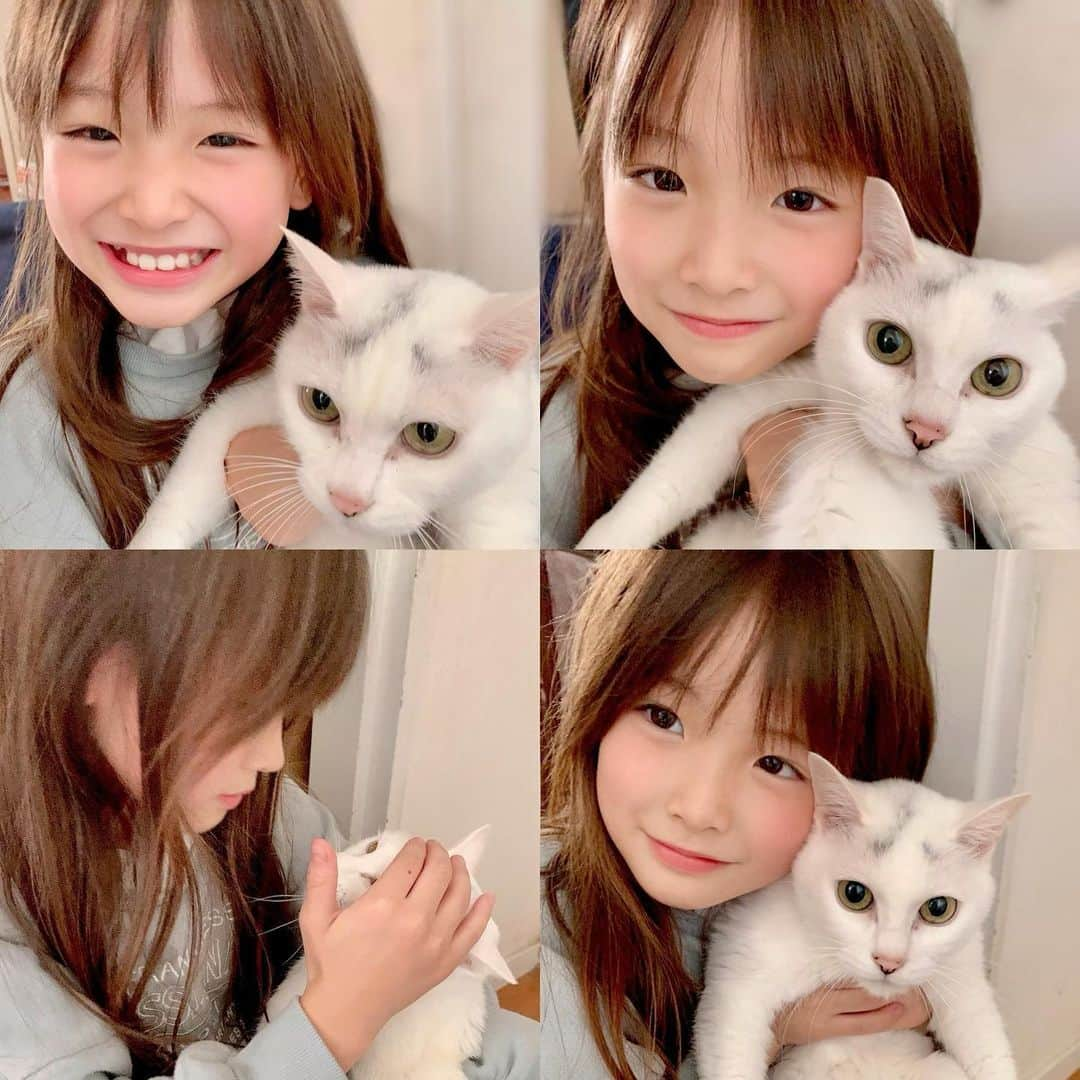 ひなさんのインスタグラム写真 - (ひなInstagram)「♡.'＊ ひなとベル👧🏼🐱♡ . 学校から帰ってきたのに なかなか部屋に入って来なくて 見に行くと、、、 玄関まで迎えにきたベルを "愛おしい🥺🤍"と 抱きしめてました♡" 生まれた時からずっとベルと一緒に 育ってきたので大好きで大事で 仕方ないみたいです😌✨ ベル来年で15歳🐱長生きしてね😌♡ . #子供と猫」11月22日 21時44分 - h.t_mom