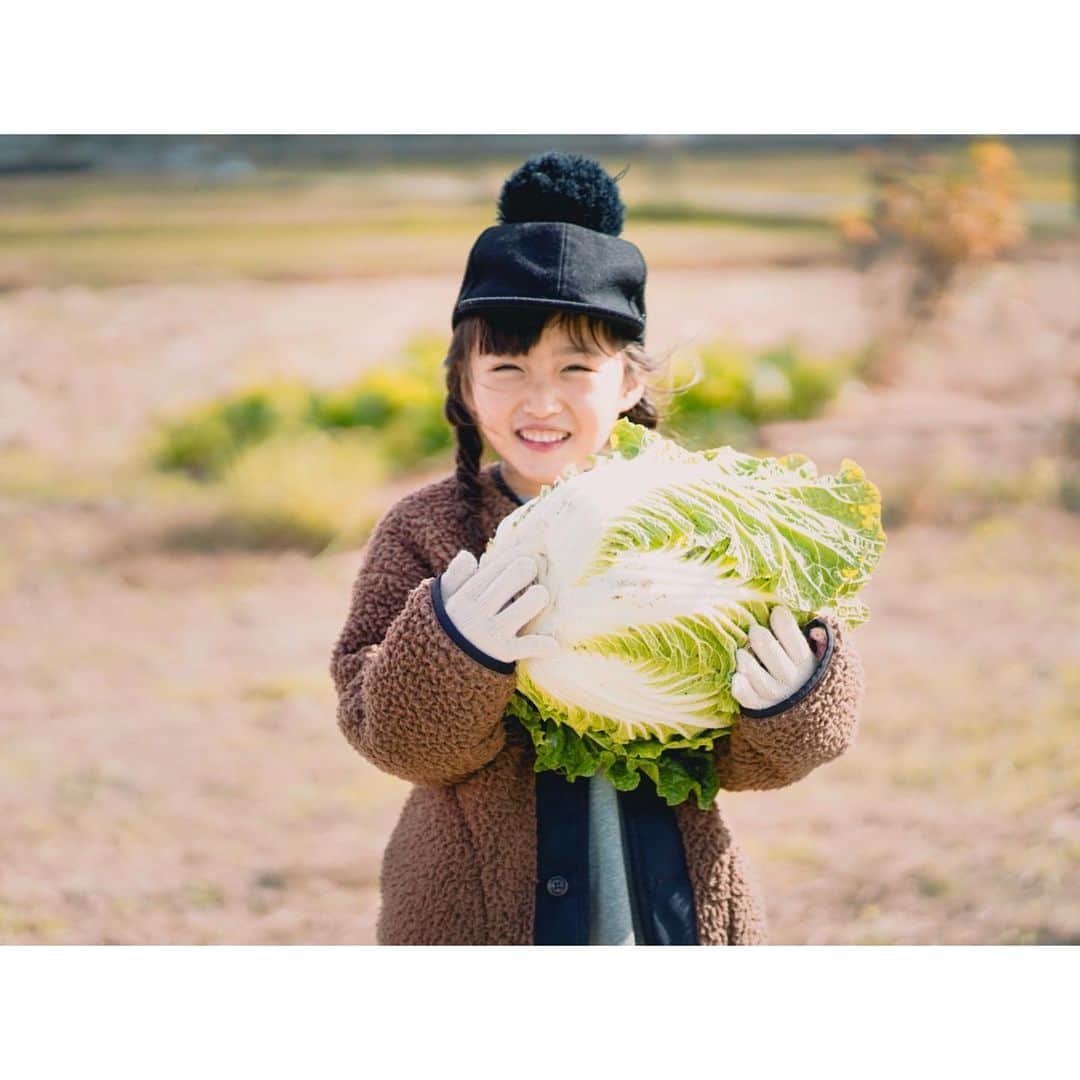 Kyooonのインスタグラム：「白菜娘🥬  大豆の収穫のお手伝いにいったら organic farm で大きな白菜、キャベツ、ブロッコリーの収穫体験もさせていただいた☺️🙏 楽しい〜！楽しすぎる！！ そして愛情のこもったオーガニックのお野菜美味しいなぁ。 最近は洗剤とかの日用品もすっかり自然派です。  長女は新しいお友達もできて楽しそうだったな。 やっぱり自然は最高だ🏔 #オーガニック野菜#オーガニックファーム#organicfarm#収穫体験#長女#6歳」