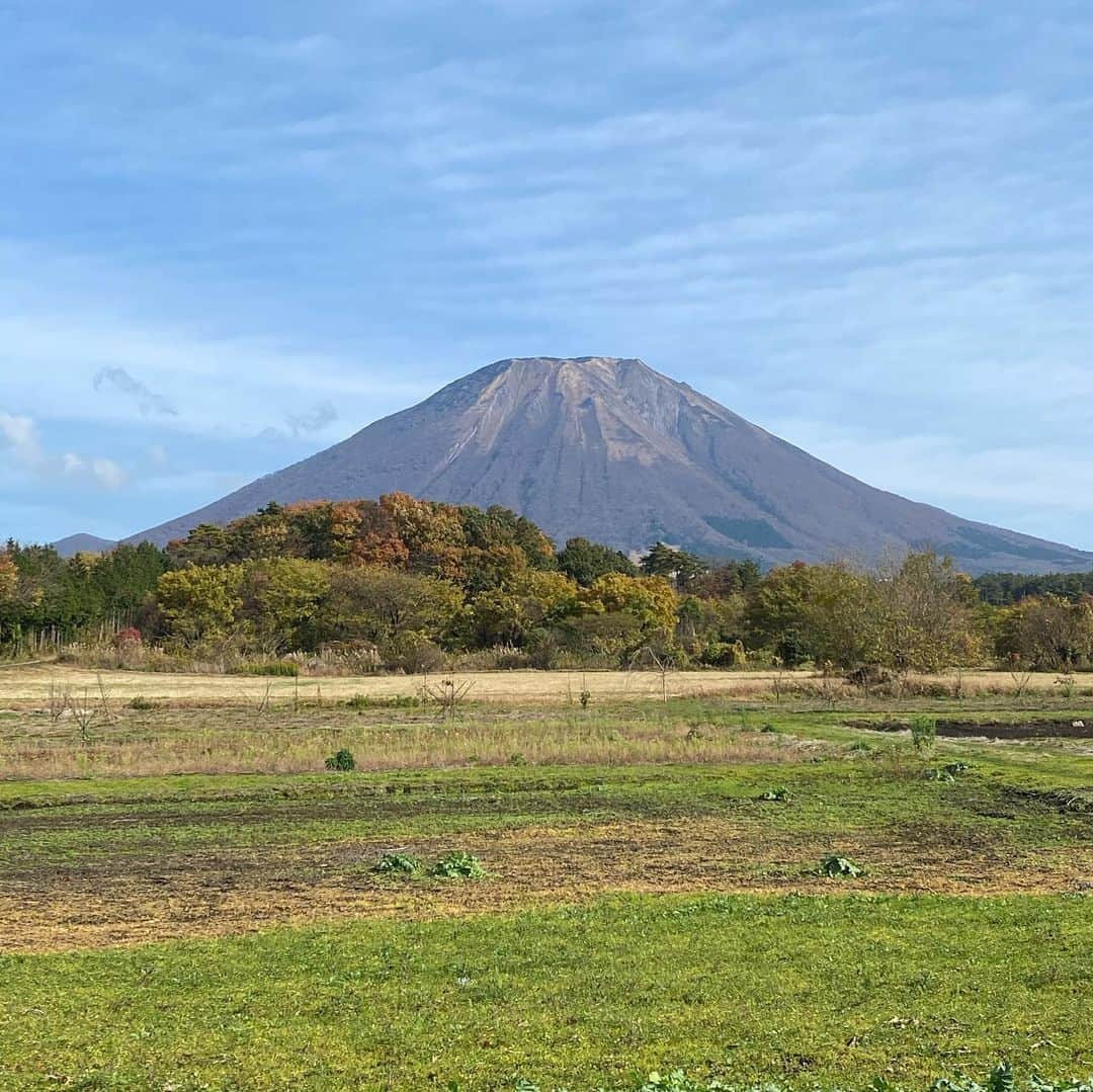 大宮エリーさんのインスタグラム写真 - (大宮エリーInstagram)「何かその土地の、気持ち良い波動みたいなものを感じ取って 絵を描いているのかなと。 つまり、私が絵をやるように仕向けられたのは きっと言葉にならないことを届けるためなんだなと 思ったんです。 言葉にならないもののなかには、 言葉にはできない、とてもたいせつなことが含まれています。 人を癒すなにか、未来へのきっかけ、ヒント、 元気になるエネルギー玉みたいなもの 心がほぐれるぽかぽかしたバイブレーション 抱かれる優しい感覚 何かが解けて涙が出ること、自分への許し、いたわり、 いろんな力があります。 それをやはり文章で伝えるのは難しく、 だから神様なのか大いなる存在みたいな、それは宇宙なのかもしれないですけれど、 脚本とか舞台とか、ドラマとかもういいから、 絵をやれって、 私をひょいってそういう方向に仕向けたのかなって思うのです。 で、毎回困るのが ライブペイントが一番困るんですけれど、 勉強して来ていないので本当に怖いんです。 8年やってきたので、さすがにアトリエで描くのは 集中できるし、一人もぐっていけるので、全然心配ないですが、 ライブだと、みなさんが見ている間に、時間内に 描きあげないといけないのと その場のみなさんに、見ている方々に届けるものだから その方々がそれぞれが満足したり、涙がでたり、 楽しかったり、何かあれ？なんだろう、という何かが 届けられないといけないわけです。みんなの目の前で、、、。 でもそれは、理屈じゃないので、、、難しい。 そのみなさんが納得するような絵をあらかじめ 考えていかないのにその場のみんなの空気やきもちを 読み取って、そして、 何か大いなる存在がその時にその場所で 描かせたいものをこれまたキャッチして みんなにわかるように描くというのが本当に緊張します。 失敗は許されないし、練習もリハも、意味ないですから。 そして音楽の力もとても大きく 明日はYO-KINGさんが歌とギターをしてくれますが これも大いに意味があるわけなのです。 どんな？と聞かれてもわかりません。 でもきっとやりはじめて、終わった時に、ああ、なるほど そうだったのか。 こういう絵を描くために、YO-KINGさんであったのかと。 大阪で、ビルボードで、そしてこのコロナ禍下で、2020年に この時期に、なぜ絵を描くのが そういうことだったのか。 ということが、明日終わったら、その絵を見たら わかるんだと思うのです。 きっとYO-KINGのバイブスで 集まってくれるみんな、配信をみてくれるみんなのバイブスで その交流で描かれないといけない絵があるんだろうなと 思うんです。 絵は、エネルギーや、ことばにならないなにかが 形になるものです。 ビジュアル化されるんです。 だから、絵を見ると、YO-KINGのことが、 わかる気がします。知らない本質的なことが 絵に出るんだろうなと思います。そして 見てくれるみんなの気持ちや、抱えているもの そしてこれから向かう未来のこともその絵に なんだか現れてくるんです。 だから面白いというか、恐ろしいというか。自分にとっては 体力も、魂も削るし、すごくしんどい。 本当に私にそんなことができるのだろうか、と怖い。 毎回、運良く、なんだかんだ、いい絵が描けて 美術館で展示されたり、その場で泣いている方もいらしたり、 スタッフさんでも、実は舞台袖で涙があふれました と言ってくれたり。 ただ、結果論です。 いつも、終わった結果、うまくいっていただけで いまはただの一人の、できるのかなと不安でいっぱいな人間です。 ただ、なんとなく今回もみなさんとそして 神様のお力で、そして自分の勇気も合間って やりとげられるという予感はしていますし そうなるようにプロとして最新の注意を払っていかないとと思っています。 きっと始まってスイッチが入って描き始めたら 光がまたたきはじめるんだろうなと予感しています。 いまは正直いうと恐ろしさと不安しかありませんが、 でも、自分の精神状態は相当整ったところにあり 準備は万端になっています。 これも、全て、神様が運んでくれたことと思ってます。 いまは、なぜ大阪？　なぜ明日？　なぜビルボード？　という思いから 一歩も進んでいませんが 明日きっと全てがわかるんだと思います。 これを読んでくれた人の中で 何かことばにならないものを感じたり 自分たちの気持ちみたいなものが、わあっと 絵に反映されていくのを、見てみたい方がいれば ぜひいらしてください。 それがご縁というものだと思うので これを書いているのもまあ、そのくるべき人のところに おしらせをかいているようなものです。 たくさん来てもらう必要はなく なにかピンと来た人が集まった時に きっと描かれるべき絵があるんだろうなと思っています。  当日のご予約は、電話です。 配信はオンラインから。  ■大宮エリーの即興美術館■ 11月23日(月/祝)  Billboard Live OSAKA 絵：大宮エリー／歌とギター：YO-KING 16:00開演  BBL大阪予約センター：06-6342-7722  Live配信チケット eplus.jp/ellie-st」11月22日 22時15分 - ellie_omiya