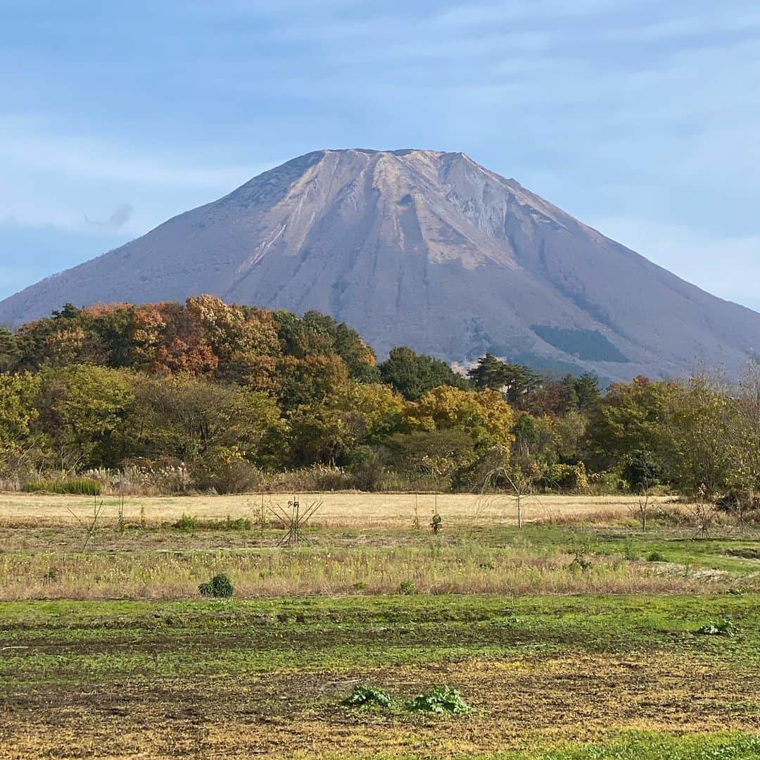 大宮エリーさんのインスタグラム写真 - (大宮エリーInstagram)「何かその土地の、気持ち良い波動みたいなものを感じ取って 絵を描いているのかなと。 つまり、私が絵をやるように仕向けられたのは きっと言葉にならないことを届けるためなんだなと 思ったんです。 言葉にならないもののなかには、 言葉にはできない、とてもたいせつなことが含まれています。 人を癒すなにか、未来へのきっかけ、ヒント、 元気になるエネルギー玉みたいなもの 心がほぐれるぽかぽかしたバイブレーション 抱かれる優しい感覚 何かが解けて涙が出ること、自分への許し、いたわり、 いろんな力があります。 それをやはり文章で伝えるのは難しく、 だから神様なのか大いなる存在みたいな、それは宇宙なのかもしれないですけれど、 脚本とか舞台とか、ドラマとかもういいから、 絵をやれって、 私をひょいってそういう方向に仕向けたのかなって思うのです。 で、毎回困るのが ライブペイントが一番困るんですけれど、 勉強して来ていないので本当に怖いんです。 8年やってきたので、さすがにアトリエで描くのは 集中できるし、一人もぐっていけるので、全然心配ないですが、 ライブだと、みなさんが見ている間に、時間内に 描きあげないといけないのと その場のみなさんに、見ている方々に届けるものだから その方々がそれぞれが満足したり、涙がでたり、 楽しかったり、何かあれ？なんだろう、という何かが 届けられないといけないわけです。みんなの目の前で、、、。 でもそれは、理屈じゃないので、、、難しい。 そのみなさんが納得するような絵をあらかじめ 考えていかないのにその場のみんなの空気やきもちを 読み取って、そして、 何か大いなる存在がその時にその場所で 描かせたいものをこれまたキャッチして みんなにわかるように描くというのが本当に緊張します。 失敗は許されないし、練習もリハも、意味ないですから。 そして音楽の力もとても大きく 明日はYO-KINGさんが歌とギターをしてくれますが これも大いに意味があるわけなのです。 どんな？と聞かれてもわかりません。 でもきっとやりはじめて、終わった時に、ああ、なるほど そうだったのか。 こういう絵を描くために、YO-KINGさんであったのかと。 大阪で、ビルボードで、そしてこのコロナ禍下で、2020年に この時期に、なぜ絵を描くのが そういうことだったのか。 ということが、明日終わったら、その絵を見たら わかるんだと思うのです。 きっとYO-KINGのバイブスで 集まってくれるみんな、配信をみてくれるみんなのバイブスで その交流で描かれないといけない絵があるんだろうなと 思うんです。 絵は、エネルギーや、ことばにならないなにかが 形になるものです。 ビジュアル化されるんです。 だから、絵を見ると、YO-KINGのことが、 わかる気がします。知らない本質的なことが 絵に出るんだろうなと思います。そして 見てくれるみんなの気持ちや、抱えているもの そしてこれから向かう未来のこともその絵に なんだか現れてくるんです。 だから面白いというか、恐ろしいというか。自分にとっては 体力も、魂も削るし、すごくしんどい。 本当に私にそんなことができるのだろうか、と怖い。 毎回、運良く、なんだかんだ、いい絵が描けて 美術館で展示されたり、その場で泣いている方もいらしたり、 スタッフさんでも、実は舞台袖で涙があふれました と言ってくれたり。 ただ、結果論です。 いつも、終わった結果、うまくいっていただけで いまはただの一人の、できるのかなと不安でいっぱいな人間です。 ただ、なんとなく今回もみなさんとそして 神様のお力で、そして自分の勇気も合間って やりとげられるという予感はしていますし そうなるようにプロとして最新の注意を払っていかないとと思っています。 きっと始まってスイッチが入って描き始めたら 光がまたたきはじめるんだろうなと予感しています。 いまは正直いうと恐ろしさと不安しかありませんが、 でも、自分の精神状態は相当整ったところにあり 準備は万端になっています。 これも、全て、神様が運んでくれたことと思ってます。 いまは、なぜ大阪？　なぜ明日？　なぜビルボード？　という思いから 一歩も進んでいませんが 明日きっと全てがわかるんだと思います。 これを読んでくれた人の中で 何かことばにならないものを感じたり 自分たちの気持ちみたいなものが、わあっと 絵に反映されていくのを、見てみたい方がいれば ぜひいらしてください。 それがご縁というものだと思うので これを書いているのもまあ、そのくるべき人のところに おしらせをかいているようなものです。 たくさん来てもらう必要はなく なにかピンと来た人が集まった時に きっと描かれるべき絵があるんだろうなと思っています。  当日のご予約は、電話です。 配信はオンラインから。  ■大宮エリーの即興美術館■ 11月23日(月/祝)  Billboard Live OSAKA 絵：大宮エリー／歌とギター：YO-KING 16:00開演  BBL大阪予約センター：06-6342-7722  Live配信チケット eplus.jp/ellie-st」11月22日 22時15分 - ellie_omiya