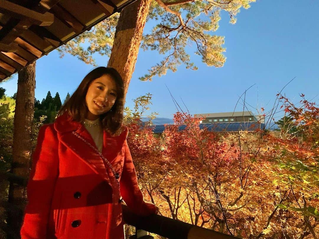 加藤未唯さんのインスタグラム写真 - (加藤未唯Instagram)「水面に写る紅葉は、 息を呑むほど美しかったです🌲🧡 梅小路公園｢朱雀の庭｣ライトアップは今月の29日(日)までです！ #梅小路公園 #紅葉 #京都 #kyoto」11月22日 22時17分 - miyukato1121