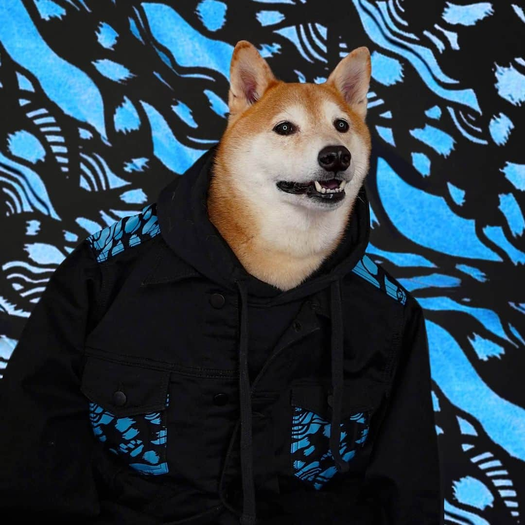 Menswear Dogのインスタグラム