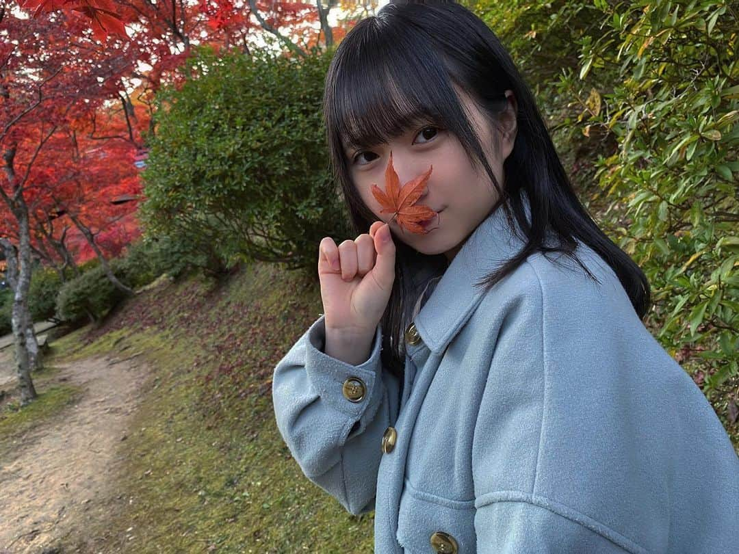 對馬優菜子のインスタグラム：「紅葉だYO!🍁」