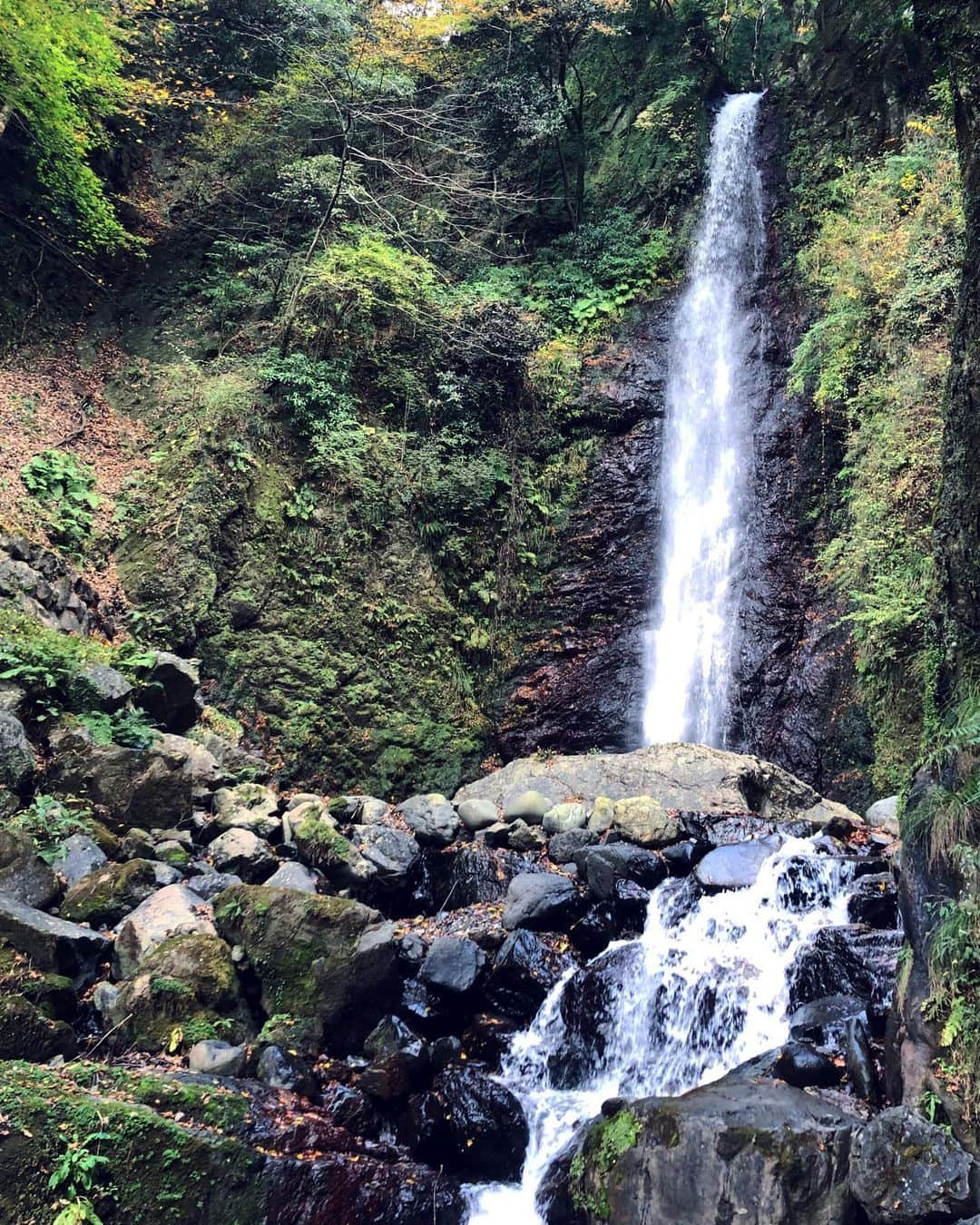 坂井幹さんのインスタグラム写真 - (坂井幹Instagram)「. 養老の滝-岐阜 . #岐阜観光 #岐阜 #養老の滝 #滝 #養老町」11月22日 22時32分 - motokisakai16