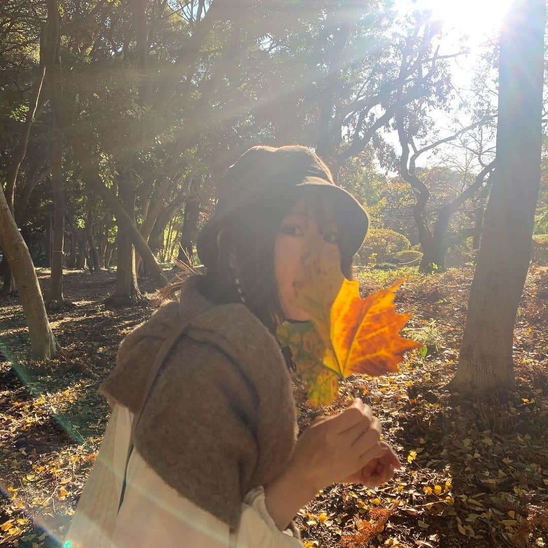 山崎怜奈さんのインスタグラム写真 - (山崎怜奈Instagram)「大学時代の友人と、公園で散歩🐿🍂 （撮影の時だけマスクを外しています🙇‍♂️）  #山崎怜奈」11月22日 22時44分 - rena_yamazaki.official