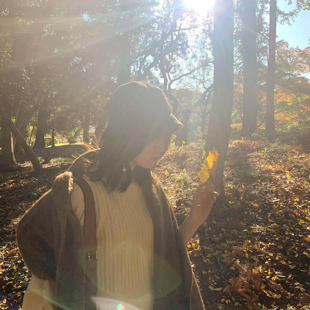 山崎怜奈さんのインスタグラム写真 - (山崎怜奈Instagram)「大学時代の友人と、公園で散歩🐿🍂 （撮影の時だけマスクを外しています🙇‍♂️）  #山崎怜奈」11月22日 22時44分 - rena_yamazaki.official