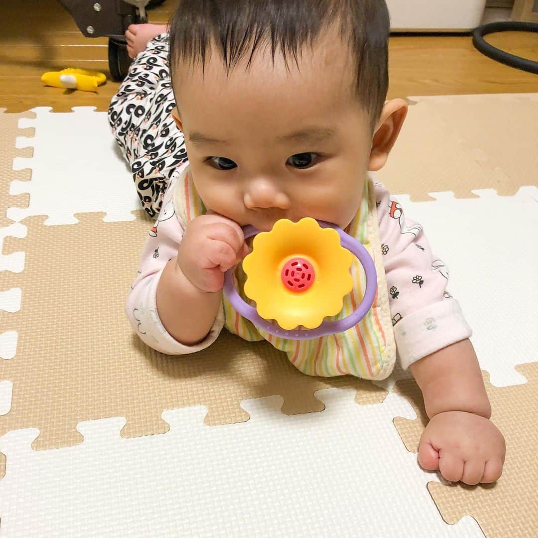 馬渕史香のインスタグラム：「こないだアカチャンホンポに行った時に、吸っても吹いても音が鳴るラッパのおもちゃを買ってみた  音の鳴るおもちゃがないことに最近気づいて、いいのないかなって探してました  初日から食いつき良し！ﾖｯｼｬ 流石にまだ吹けへんけど、試しに鳴らすとこ見せてあげると、にこって笑顔に そんで、渡すと吹き口のところをカミカミ  うむ、いいぞ〜 あとは、カラカラ鳴るやつが欲すぃところですね🤔  #キッズラボラトリー ﻿#キッズラボラトリーCP﻿ #レンタルオモチャ﻿ #レンタルおもちゃ﻿ #おもちゃレンタル ﻿#知育玩具   #あしざわ家 #赤ちゃんのいる生活 #令和2年生まれ #5月生まれ #男の子ベビー #令和ベビー #babyboy #2020baby #ゼクシィbabyママ隊 #ずぼら主婦」