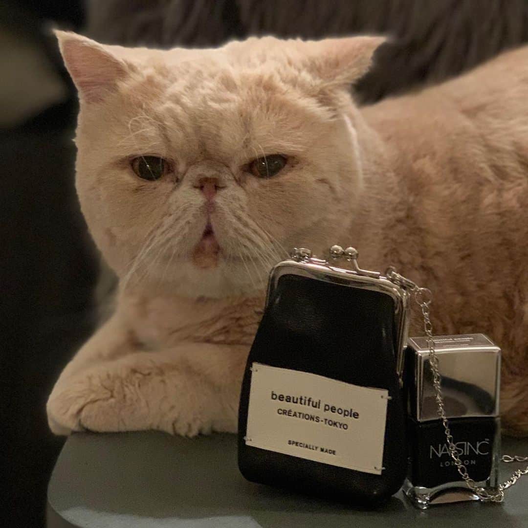 のインスタグラム：「今夜は素敵なネールを 紹介します！ NAILSINC  ブラックレザー  コレクション キッド beautiful people 小さいがま口ポーチは リップやあめを入れたりして 使えます！とても可愛い💕 ブラックカラーですが程よい艶とマットな 質感が大人な印象です。 #beautifulpeople #nailsinc  #mash1126a  #マッシュのぺちゃんこライフ #cat #マッシュ #エキゾチックショートヘア #ねこ　#ネコ  #猫 #kitty  #猫部 #ねこ部 #ねこあつめ #にゃんだふるらいふ #猫莫迦 #catstagram #ExoticShorthair #catsofinstagram #catsosofinstagram #katten #kitten #instacat」