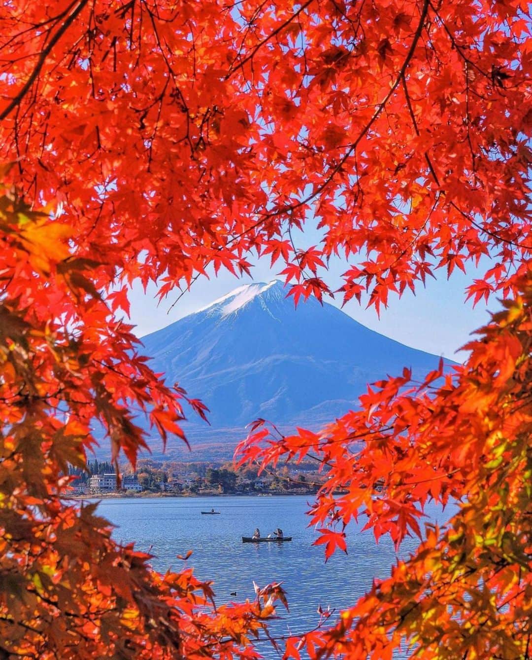 Wonderful Placesさんのインスタグラム写真 - (Wonderful PlacesInstagram)「We can’t get enough of fall in Japan ✨😍😍🍁🍁✨ Tag your friends!!! . Pictures by ✨✨@criss1016✨✨ #wonderful_places for a feature ❤️🍁」11月22日 23時18分 - wonderful_places
