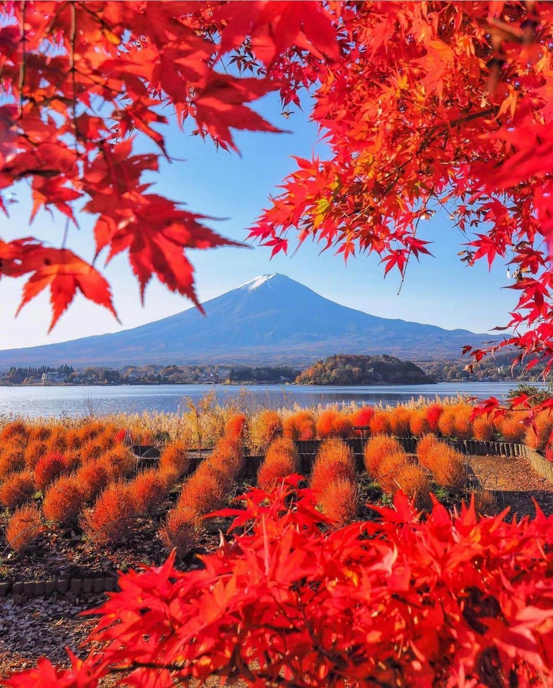 Wonderful Placesさんのインスタグラム写真 - (Wonderful PlacesInstagram)「We can’t get enough of fall in Japan ✨😍😍🍁🍁✨ Tag your friends!!! . Pictures by ✨✨@criss1016✨✨ #wonderful_places for a feature ❤️🍁」11月22日 23時18分 - wonderful_places