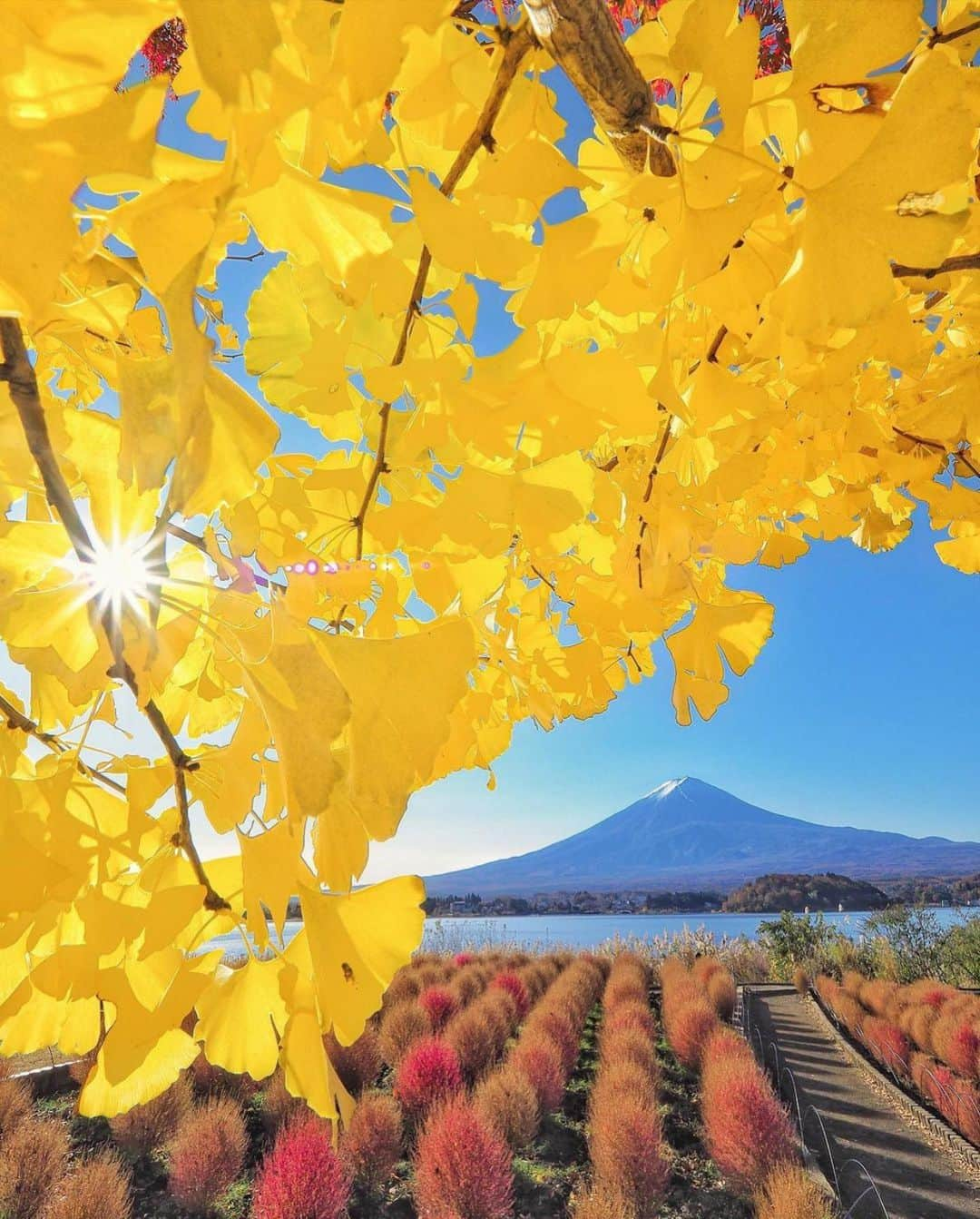 Wonderful Placesさんのインスタグラム写真 - (Wonderful PlacesInstagram)「We can’t get enough of fall in Japan ✨😍😍🍁🍁✨ Tag your friends!!! . Pictures by ✨✨@criss1016✨✨ #wonderful_places for a feature ❤️🍁」11月22日 23時18分 - wonderful_places