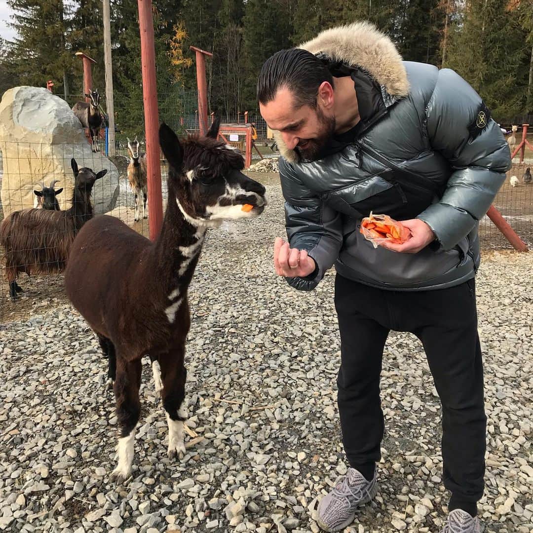マルチン・ヴァシレフスキのインスタグラム：「it is delicious yes i know😋」