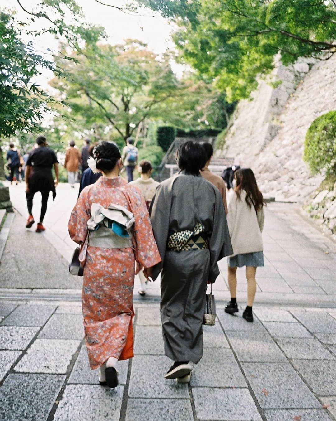 のインスタグラム：「素敵な後ろ姿すぎて、景色を撮るのを口実にシャッターをきってしまった…🥲届くかな🍁」