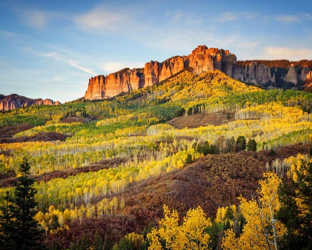 National Geographic Travelさんのインスタグラム写真 - (National Geographic TravelInstagram)「Photo by @jonathan_irish / I had always wanted to photograph out in western Colorado and finally got a chance during peak fall foliage this year. I am just going through my photos now, and I am immediately brought back to jaw-dropping scenes like this one. What better antidote to politics and pandemics than nature?」11月23日 0時37分 - natgeotravel