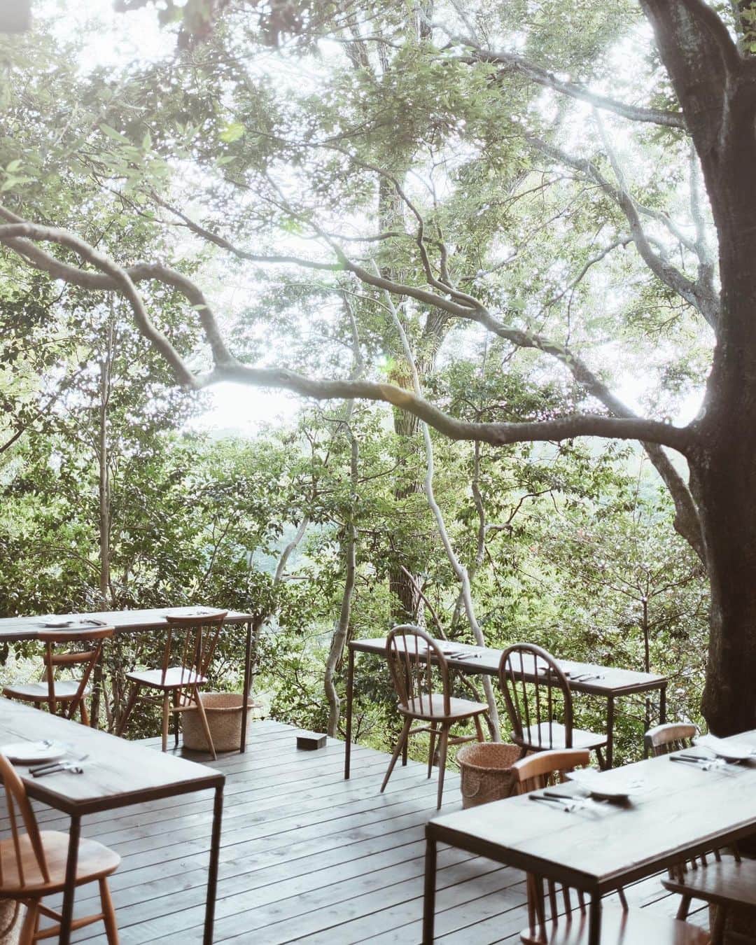 青田夏奈のグルメインスタ