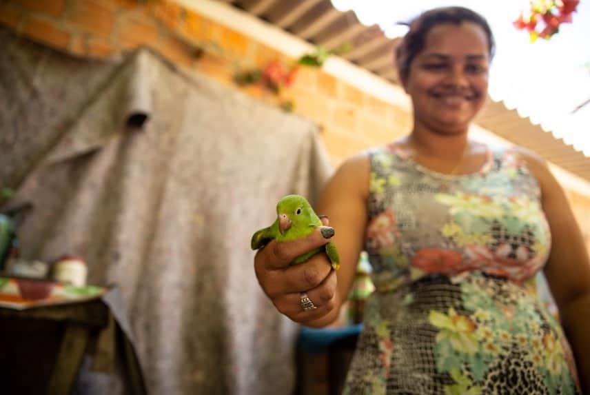 ルアン・サンタナさんのインスタグラム写真 - (ルアン・サンタナInstagram)「#PESSOASDOPANTANAL - a Família Silva trabalha com a venda de iscas para os pescadores que chegam ao Pantanal.   A situação, que já era difícil com a pandemia, ficou pior com o fogo. A família de catadores de iscas que vendem cada uma por 0,60, se viu sem seu sustento com o fogo que atravessou o pantanal e chegou em sua casa.   Viram a margem oposta do rio arder, enquanto molhavam com baldes as casas.. evitaram um desastre ainda maior, principalmente ao salvar Maritacas e Capivaras que assustadas fugiam do fogo.   Mesmo com todas as adversidades, os Silva cultivam um sorriso no rosto e a certeza que dias melhores vem por aí.   O Movimento  #OPantanalChama faz uma live HOJE, a partir das 17h, no meu YouTube e no @natgeobrasil   📸 ThallitaOshiro」11月23日 0時45分 - luansantana