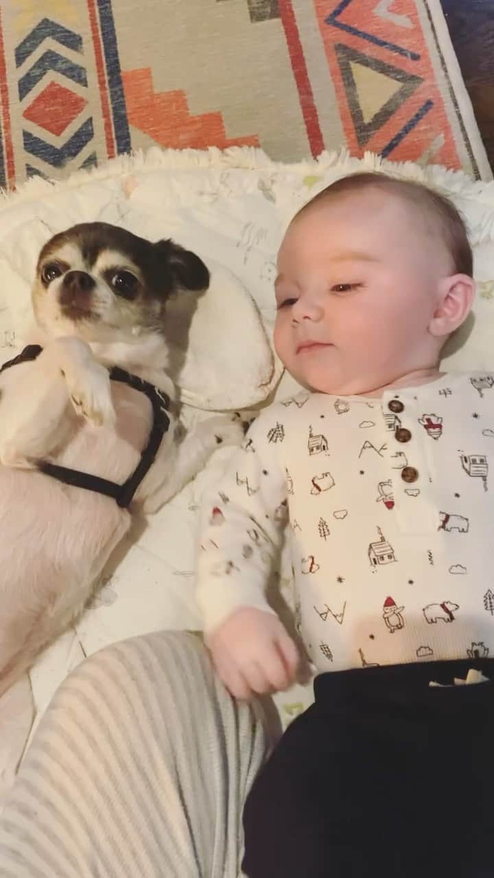 のインスタグラム：「👶🏻🐾」