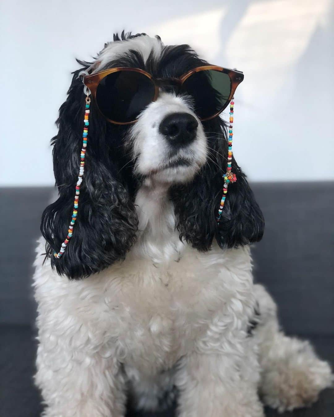Warby Parkerのインスタグラム：「We couldn't think of a better model to show off our new beaded eyewear chains that we made in collaboration with @roxanneassoulin than @florentinaslife 😍 Tap the 🛍 icon to get yours!」