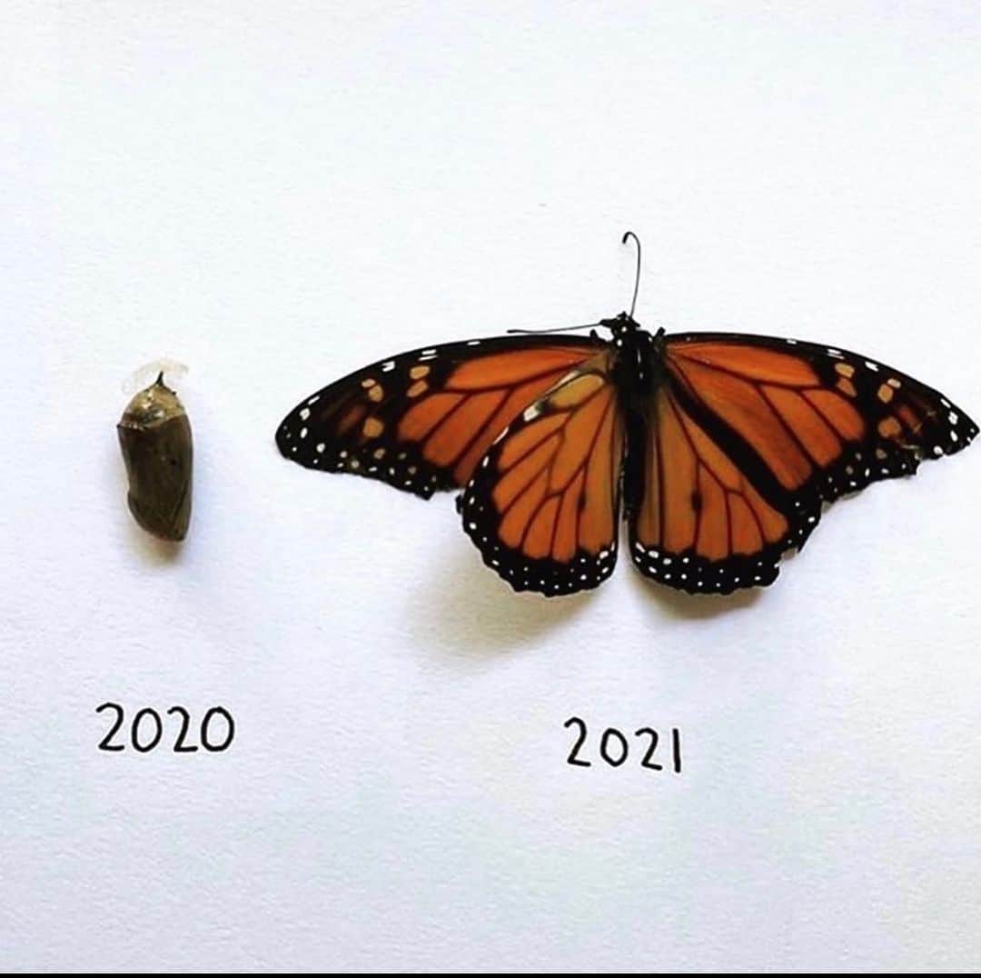 カテリーナ・スコーソンのインスタグラム：「Sometimes going inside and staying there for a while is very important. #2020 #2021 #youbeautifulbutterfly」