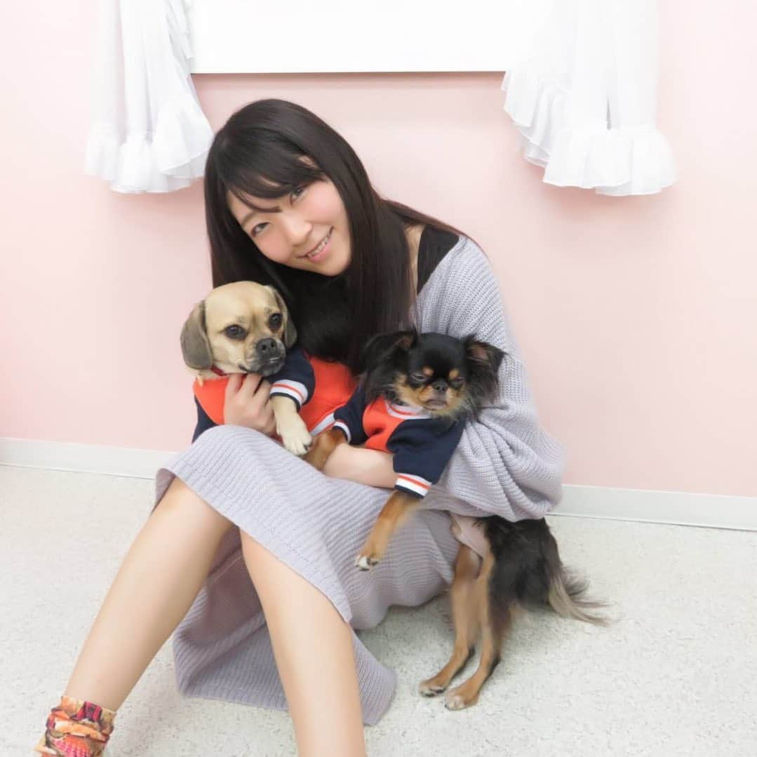 服部彩香さんのインスタグラム写真 - (服部彩香Instagram)「やっぱり愛犬可愛い🥰💓💓 .  #パグックス #パグミックス #ダックスミックス #チワワ #チワワミックス #狆 #狆ミックス #狆チワ #ミックス犬 #ミックス犬愛好会  #いぬ  #愛犬 #いぬすたぐらむ  #いぬバカ部  #いぬばか  #いぬのいる暮らし  #いぬのいる生活  #犬好きな人と繋がりたい  #犬好きさんと繋がりたい #被写体」11月23日 13時05分 - ayasyan1112