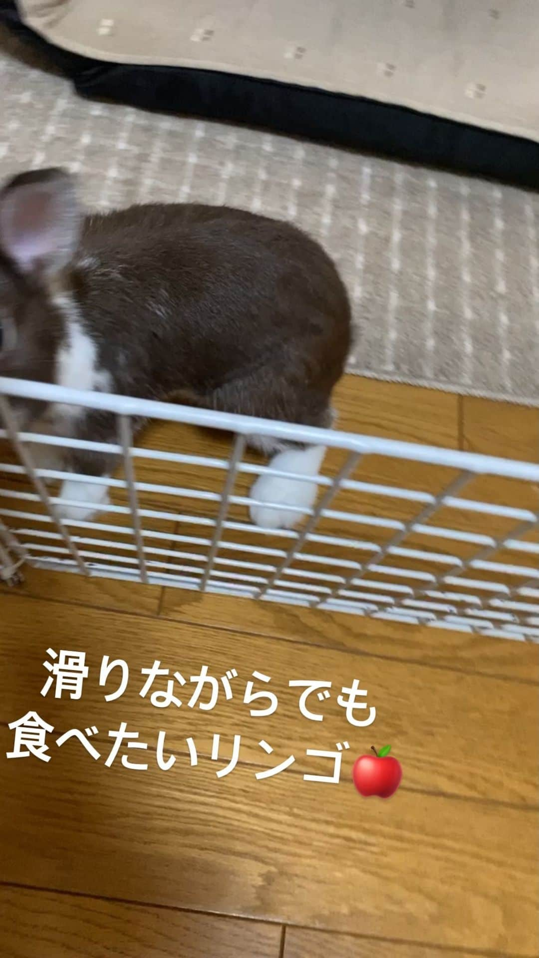 天間晴香のインスタグラム