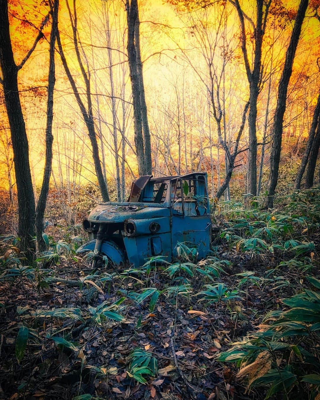 啝 （わ）さんのインスタグラム写真 - (啝 （わ）Instagram)「The Autumn 𓆲 𓆲 𓆲 #japan_urbex #JJ_URBEX #jp_gallery #kf_urbandonedmasks #KINGS_ABANDONED #m3xtures #Meistershots #moodygrams #nature_takes_over #natures_reclaim #ominous_perfection #pr0ject_uno #rsa_preciousjunk #savethedecay #sfx_decay #廃墟 #草ヒロ #cars_abandoned #abandonedcar」11月23日 13時20分 - neji_maki_dori