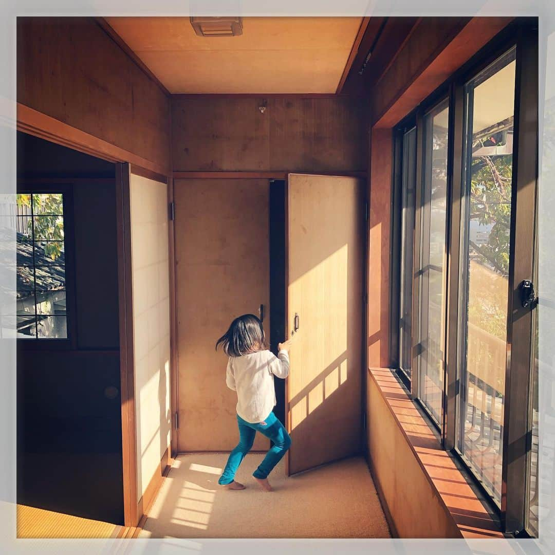 Akira Yamaguchiさんのインスタグラム写真 - (Akira YamaguchiInstagram)「引っ越し先、工事前の下見。陽当たり良いから、猫たち喜びそう。」11月23日 13時14分 - pancho0002