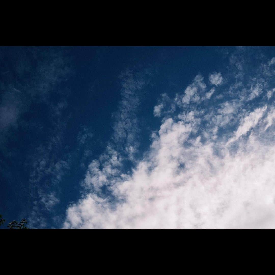 木村拓哉さんのインスタグラム写真 - (木村拓哉Instagram)「﻿ ﻿ 「青い空が綺麗です！﻿ ﻿ でも、気温の変化が凄いですね。﻿ 体調を崩さないようにして下さいね！」﻿ ﻿ STAYSAFE‼︎﻿ ﻿ 拓哉﻿ #木村拓哉#TakuyaKimura」11月23日 13時18分 - takuya.kimura_tak