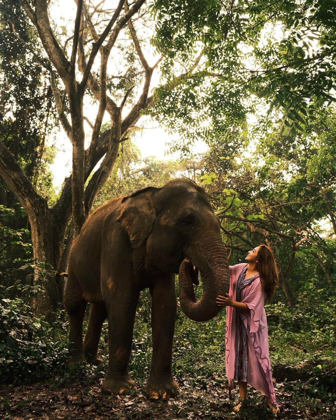 Ashantyさんのインスタグラム写真 - (AshantyInstagram)「Be like an elephant, remember what matters, look out for your herd, and don’t be afraid to take up space 🐘 Pict by @dewandra  Venue @balisafari  Dress @paulropp」11月23日 13時48分 - ashanty_ash