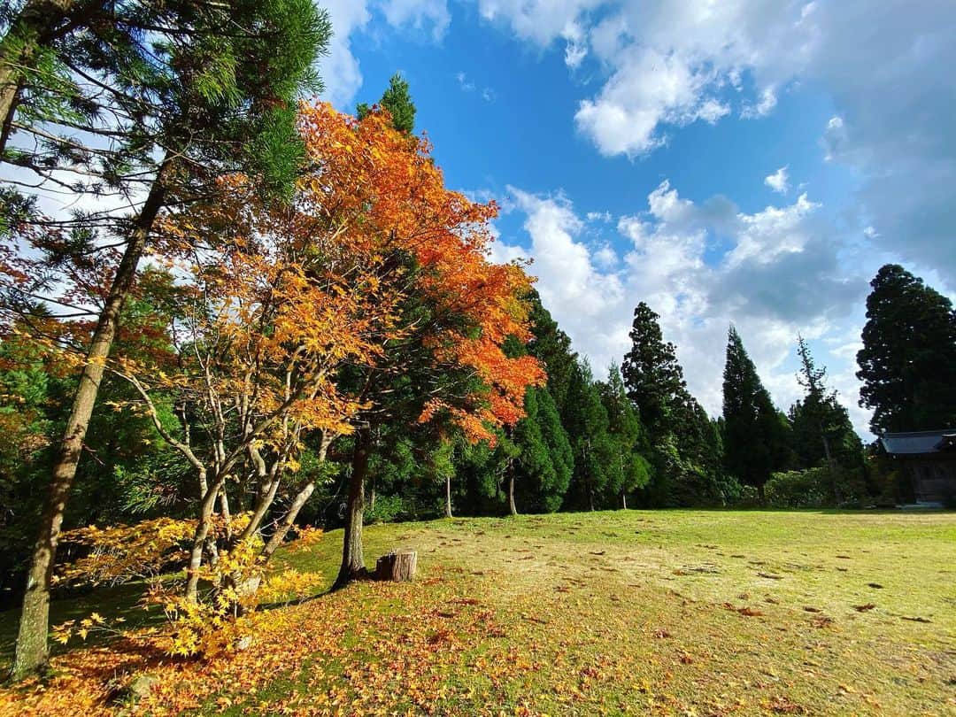 菜々香さんのインスタグラム写真 - (菜々香Instagram)「絵のように美しい風景撮れちゃった iPhoneカメラきれい…。✨ 少し前に旅に行った日本の端の方は、すでに紅葉祭りだった⛰🍁  #紅葉#秋#日本#素敵な景色に癒される#写真でも癒し#マイナスイオン#japan#instaphoto」11月23日 13時54分 - 7.na_na_ka