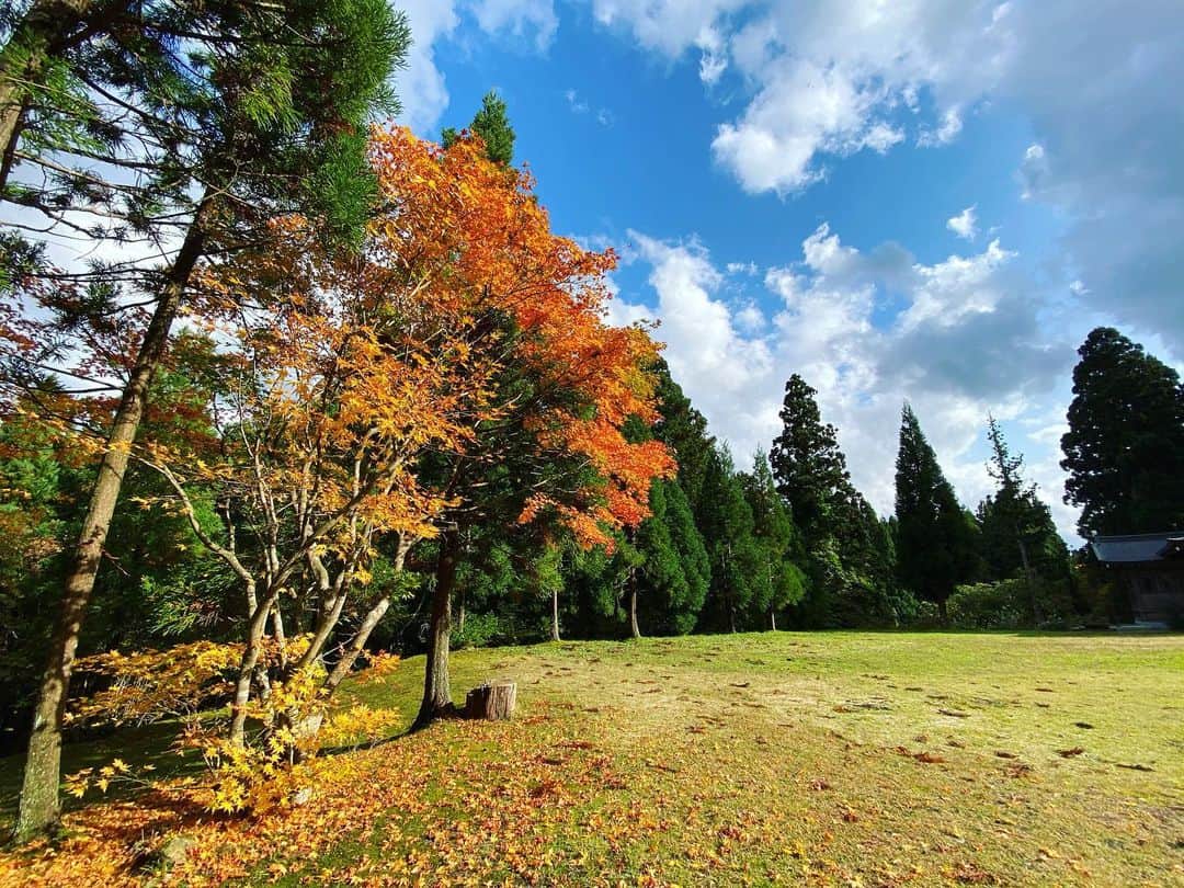 菜々香のインスタグラム：「絵のように美しい風景撮れちゃった iPhoneカメラきれい…。✨ 少し前に旅に行った日本の端の方は、すでに紅葉祭りだった⛰🍁  #紅葉#秋#日本#素敵な景色に癒される#写真でも癒し#マイナスイオン#japan#instaphoto」
