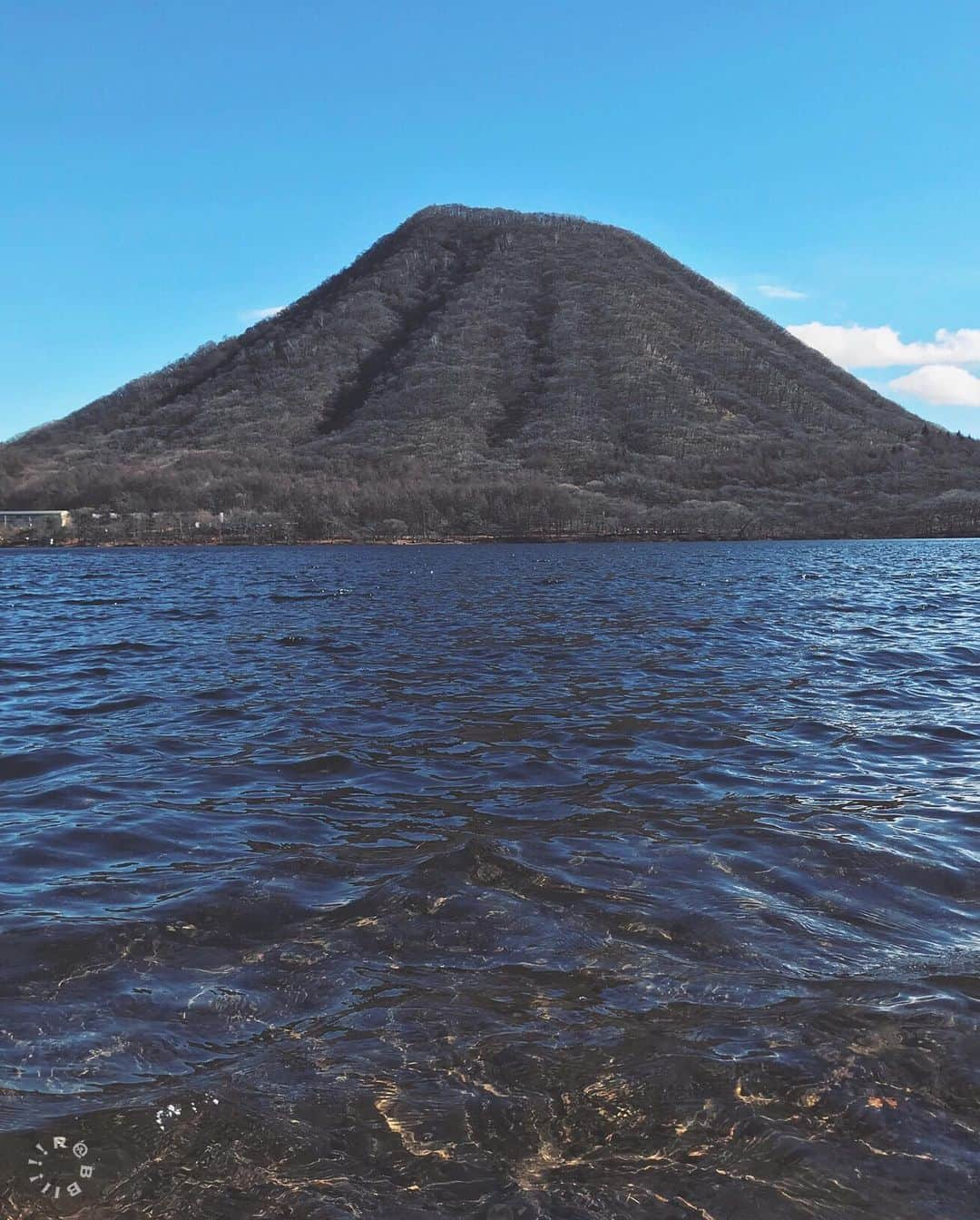 rabbiiiiiさんのインスタグラム写真 - (rabbiiiiiInstagram)「* 🏃🏻🚣🏻‍♂️🏃🏻‍♀️🥾🗻 * * #igersjp #Gunmagram #裏山」11月23日 14時18分 - rabbiiiii