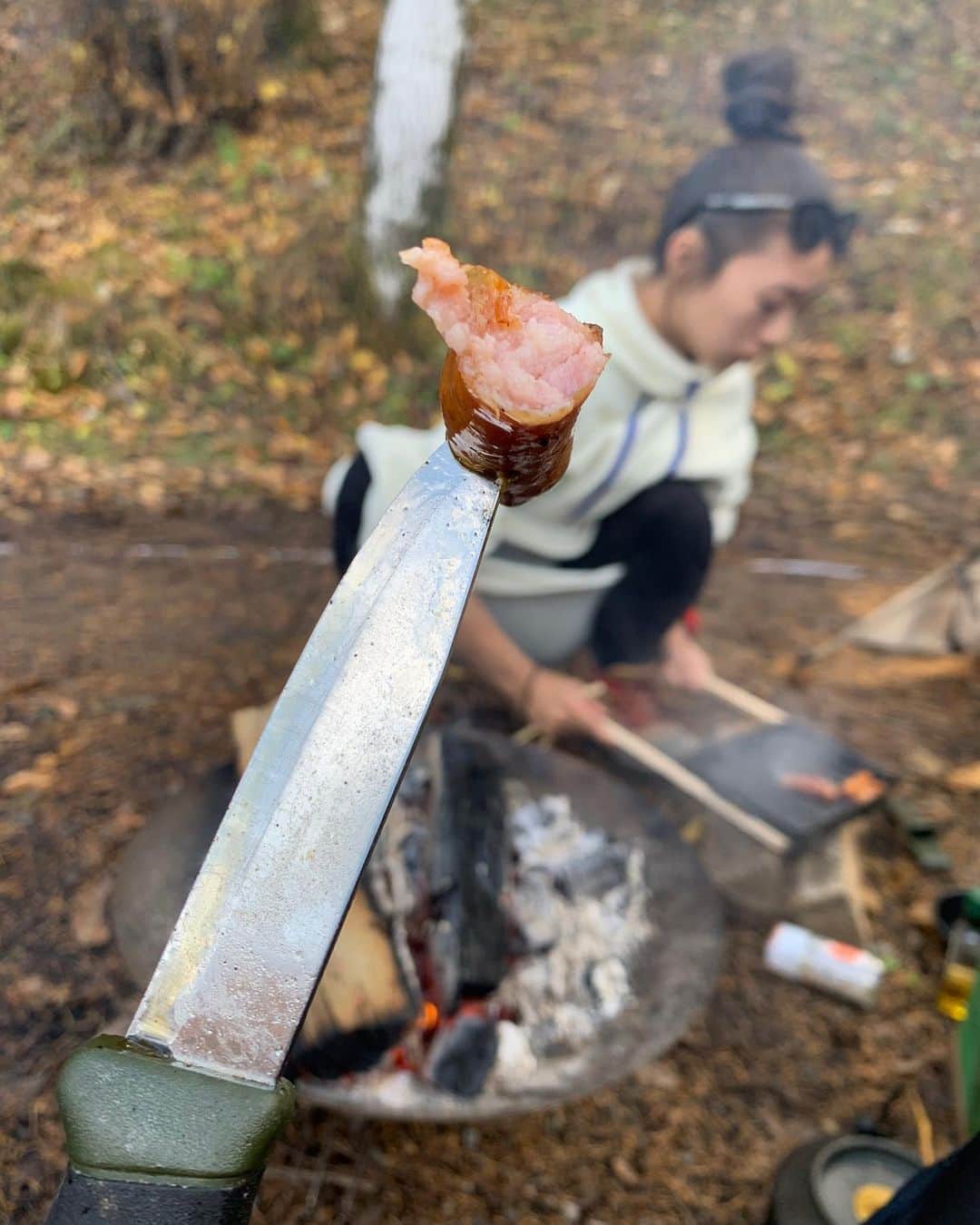 鷲巣綾乃のインスタグラム：「. . . . テントから離れると クークー鳴いちゃう2匹が本当に愛おしい❤️🐾 わたしの最近のインスタ犬とキャンプしかない笑 . . . #Camp #冬キャンプ #キャンプ #アメリカンブリー #ミニチュアピンシャー  #ピットブル #ミニピン #愛犬」