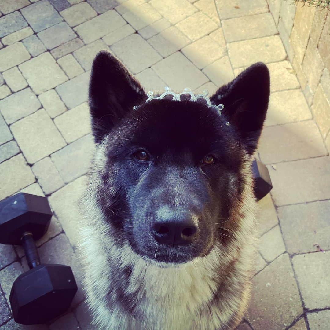 エリック・クリスチャン・オルセンのインスタグラム：「When my kids want to watch Frozen 2 they send @aspentheakita dressed like this to halt my weekend workout. #pointsforcreativity #thiswillallmakesensewhenimolder #lostinthewoods #intotheunknown #thesearesongtitles #killingthisdadgame」